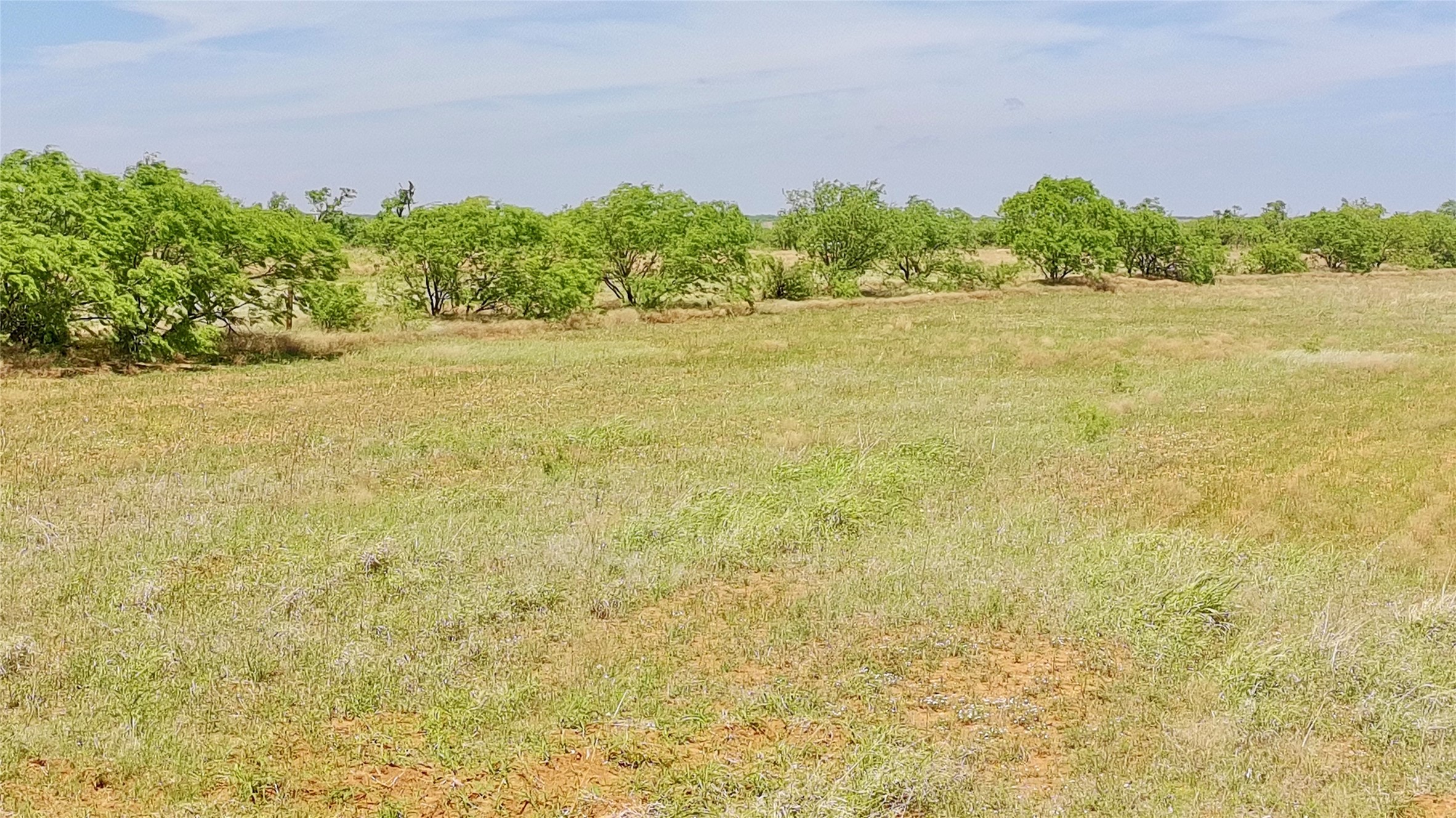 Tbd Fm 57 Roby TX 79560