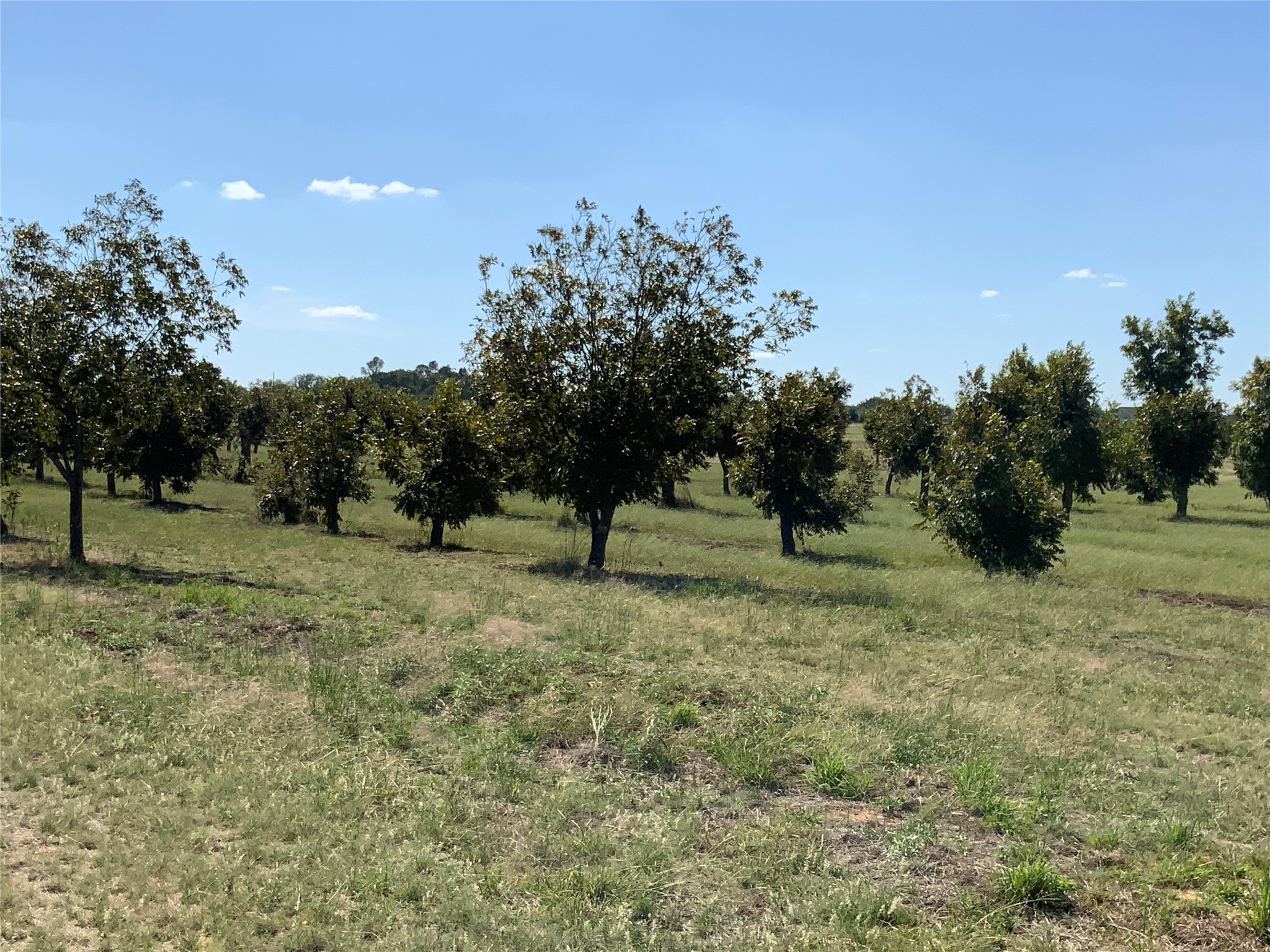 Tbd Fm-2861 Comanche TX 76442