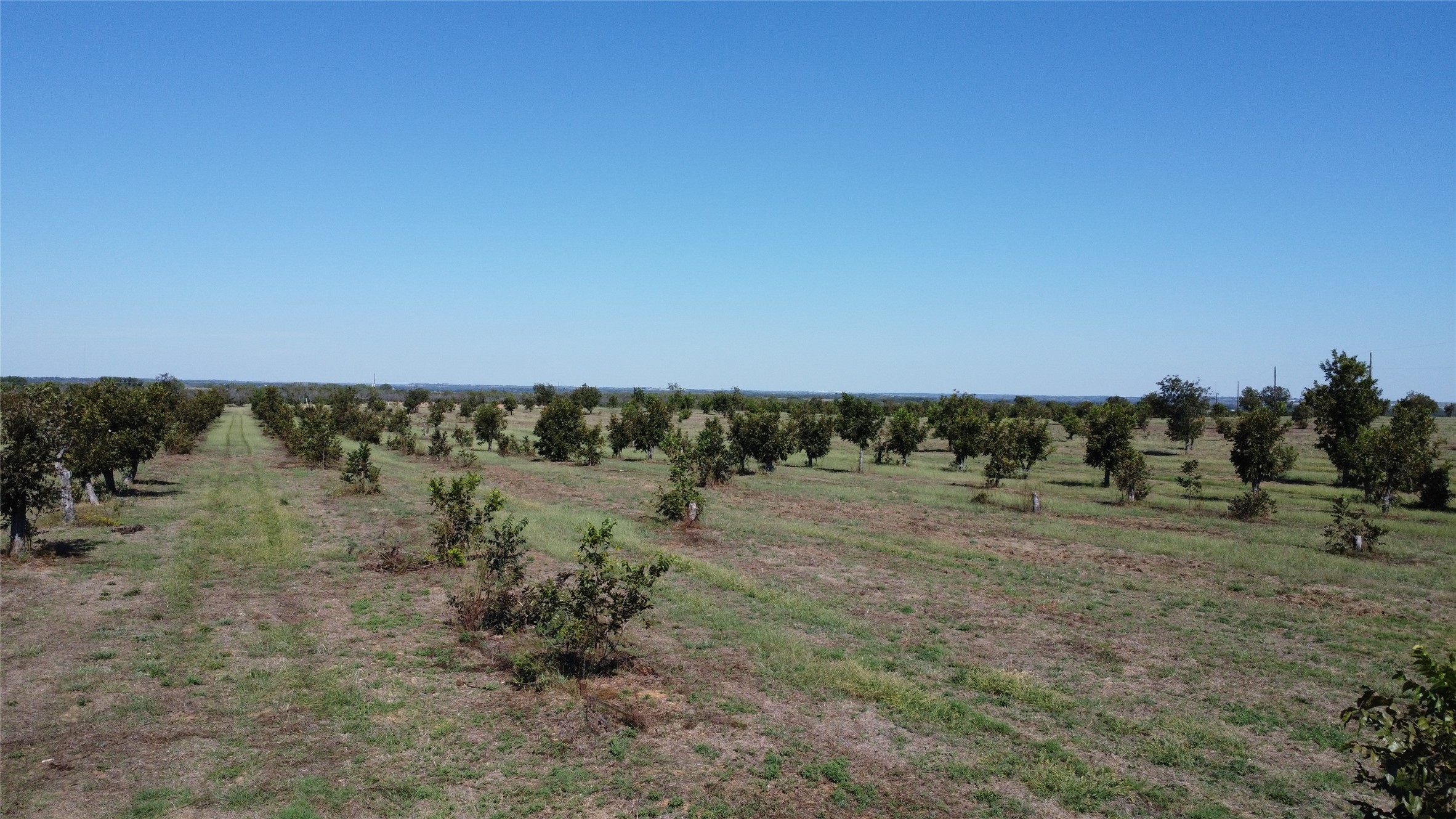 Tbd Fm-2861 Comanche TX 76442