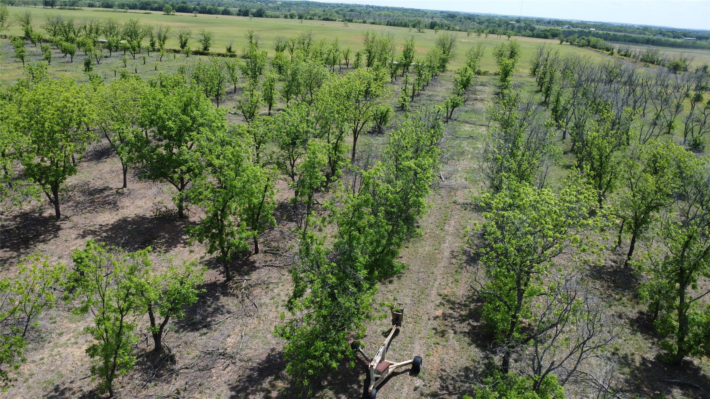 Tbd Fm-2861 Comanche TX 76442