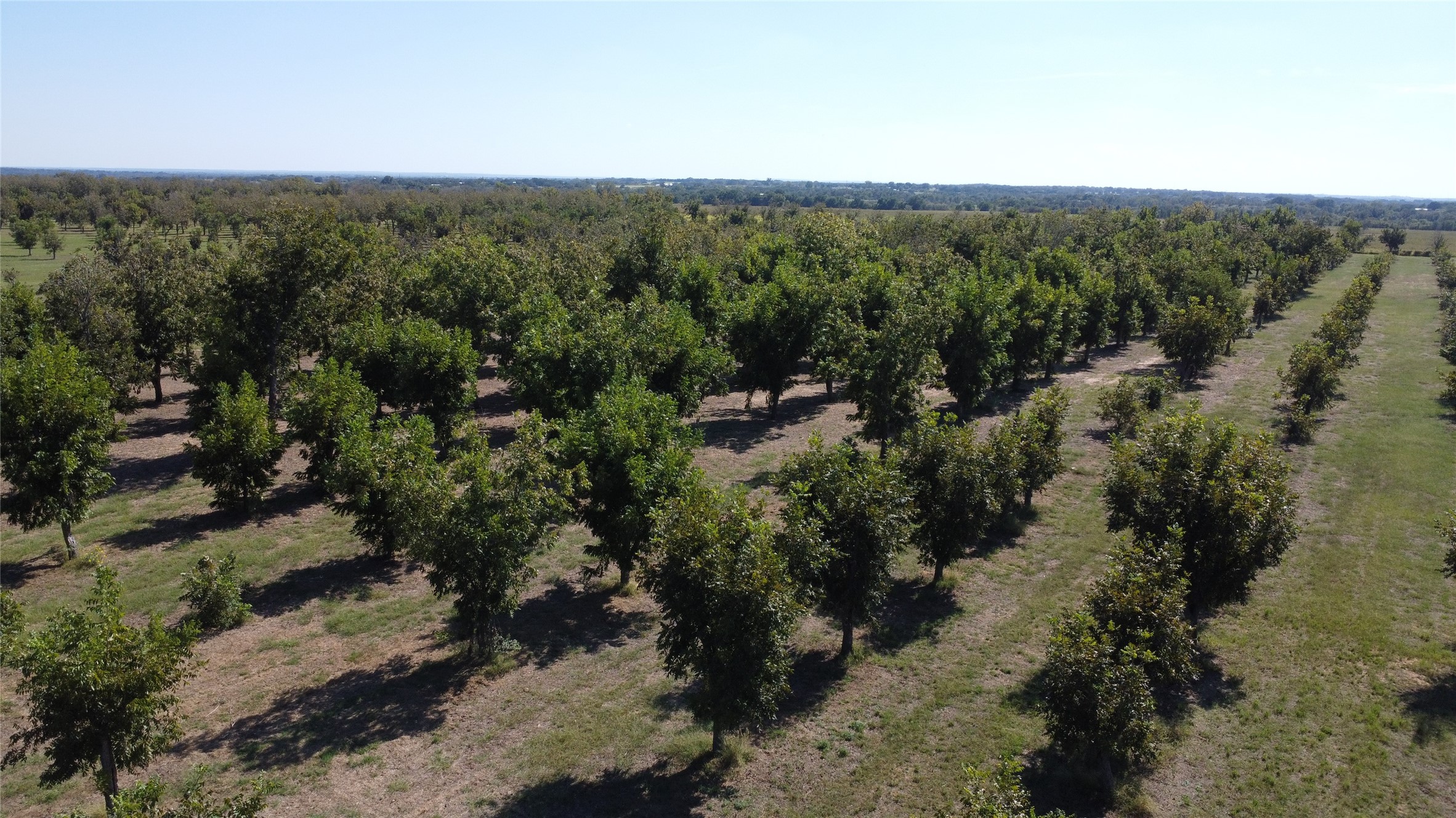 Tbd Fm-2861 Comanche TX 76442