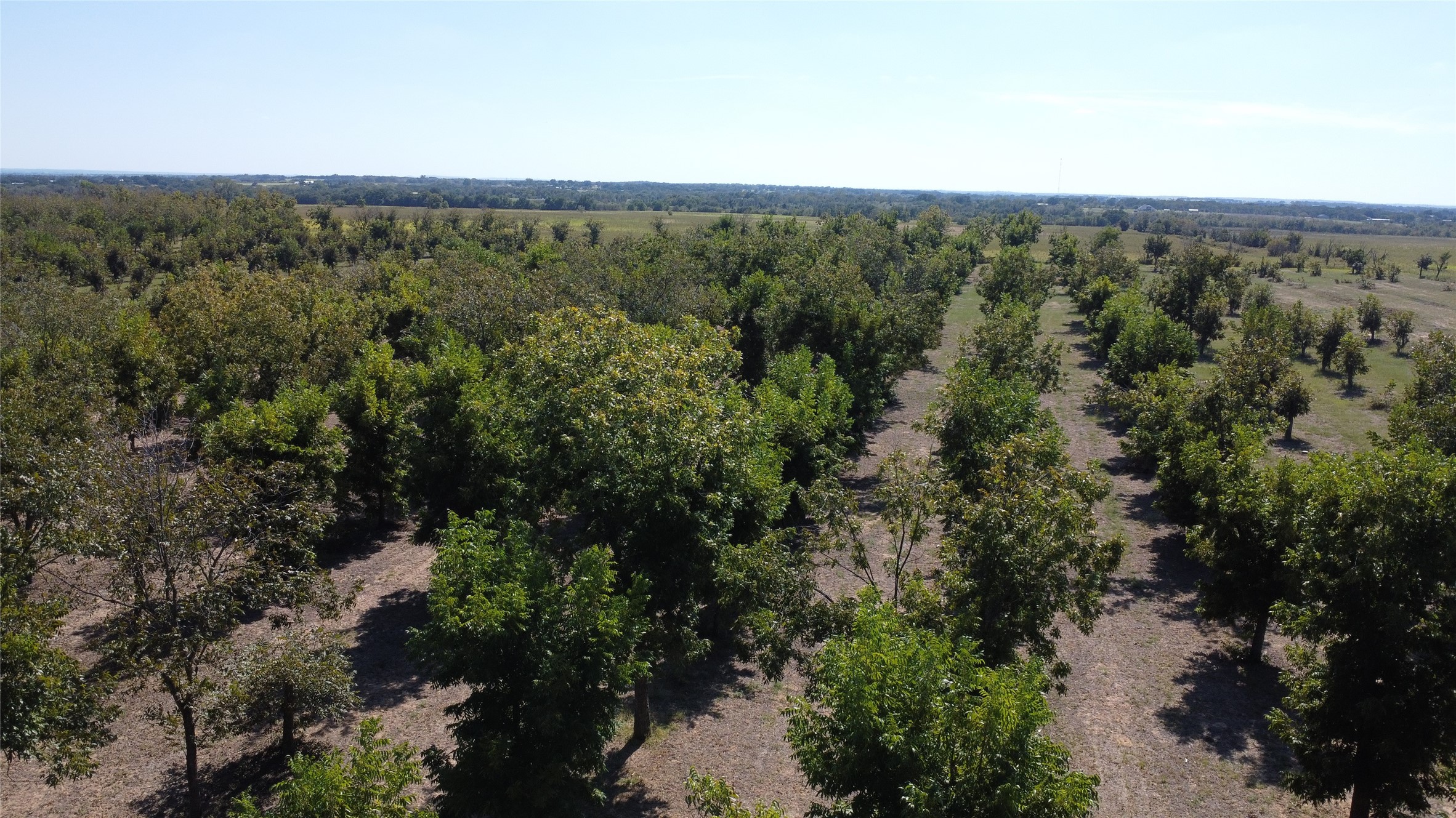 Tbd Fm-2861 Comanche TX 76442