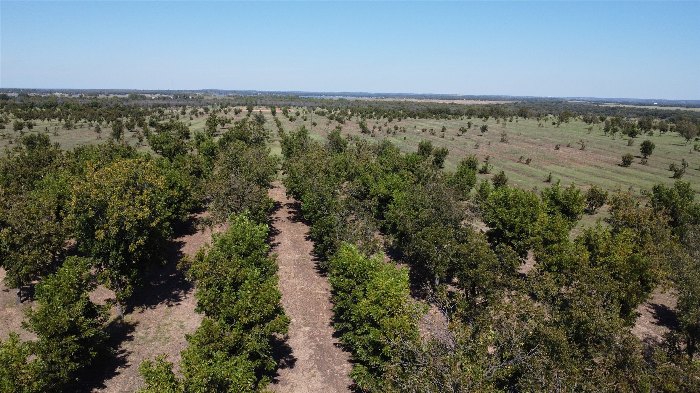 Tbd Fm-2861 Comanche TX 76442
