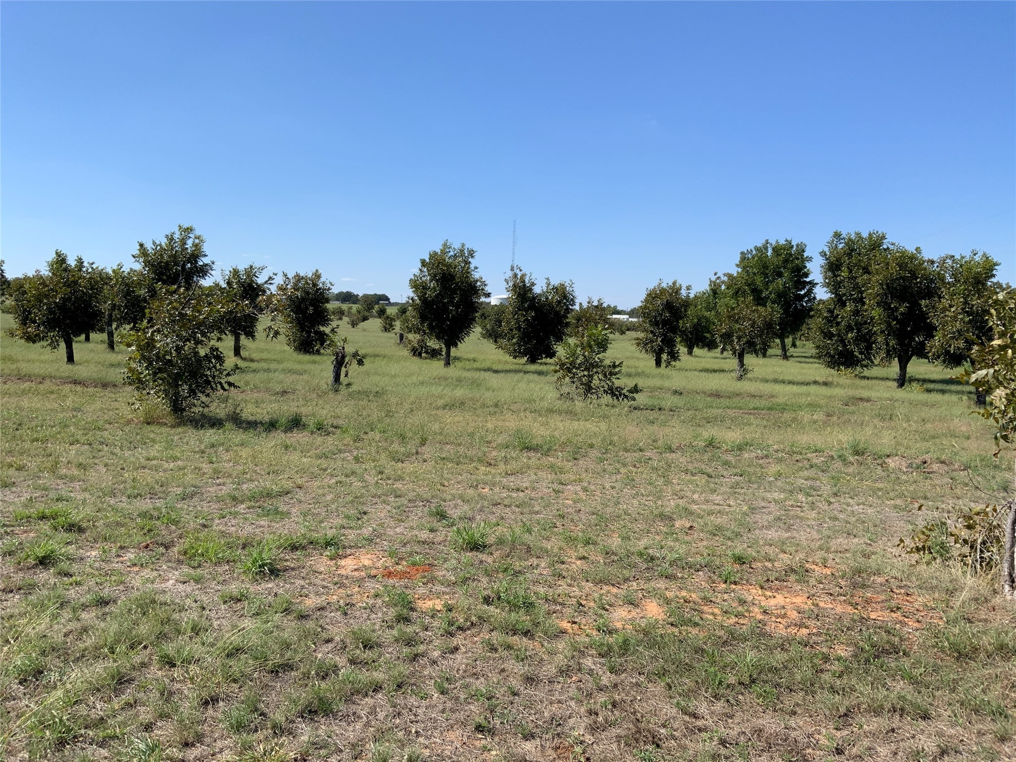 Tbd Fm-2861 Comanche TX 76442
