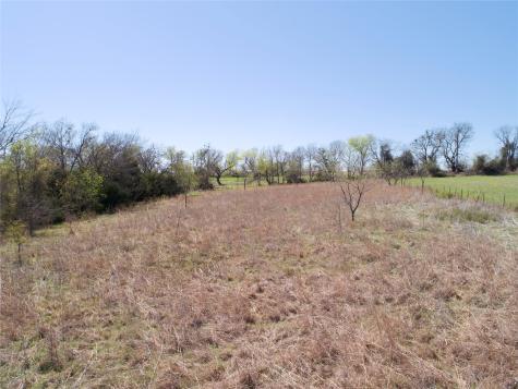 Lot 4 NW County Road 2170 Barry TX 75102