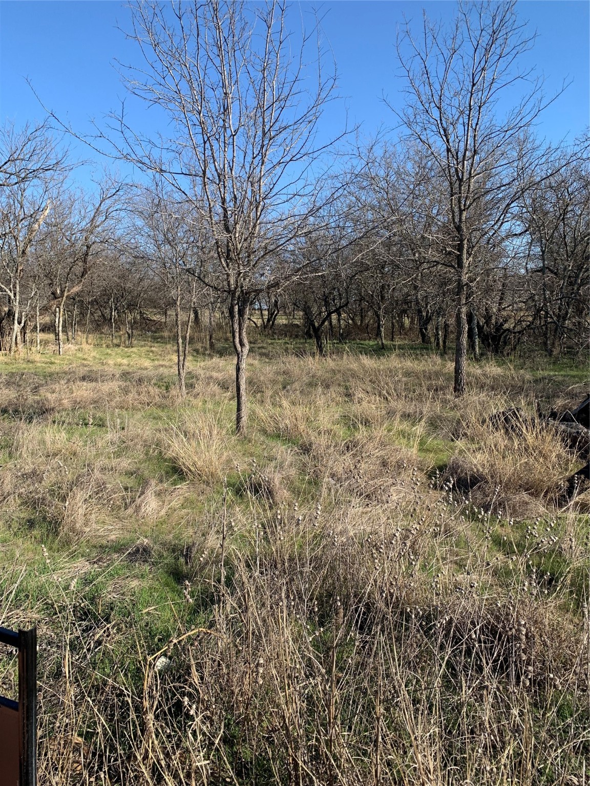 Lot 22 Cimmarron Court Bridgeport TX 76426