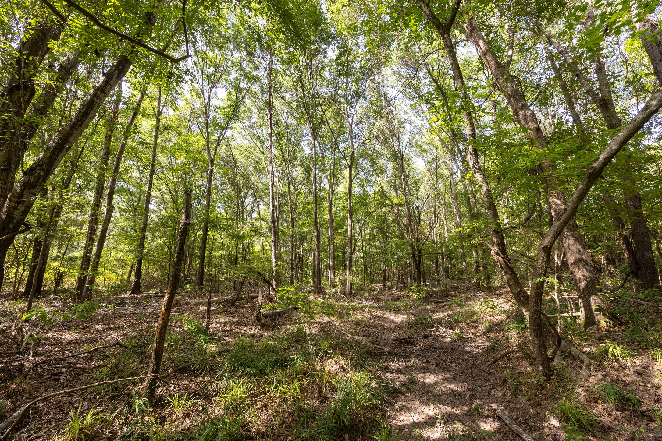 Tract 10 County Road 4222 Frankston TX 75763
