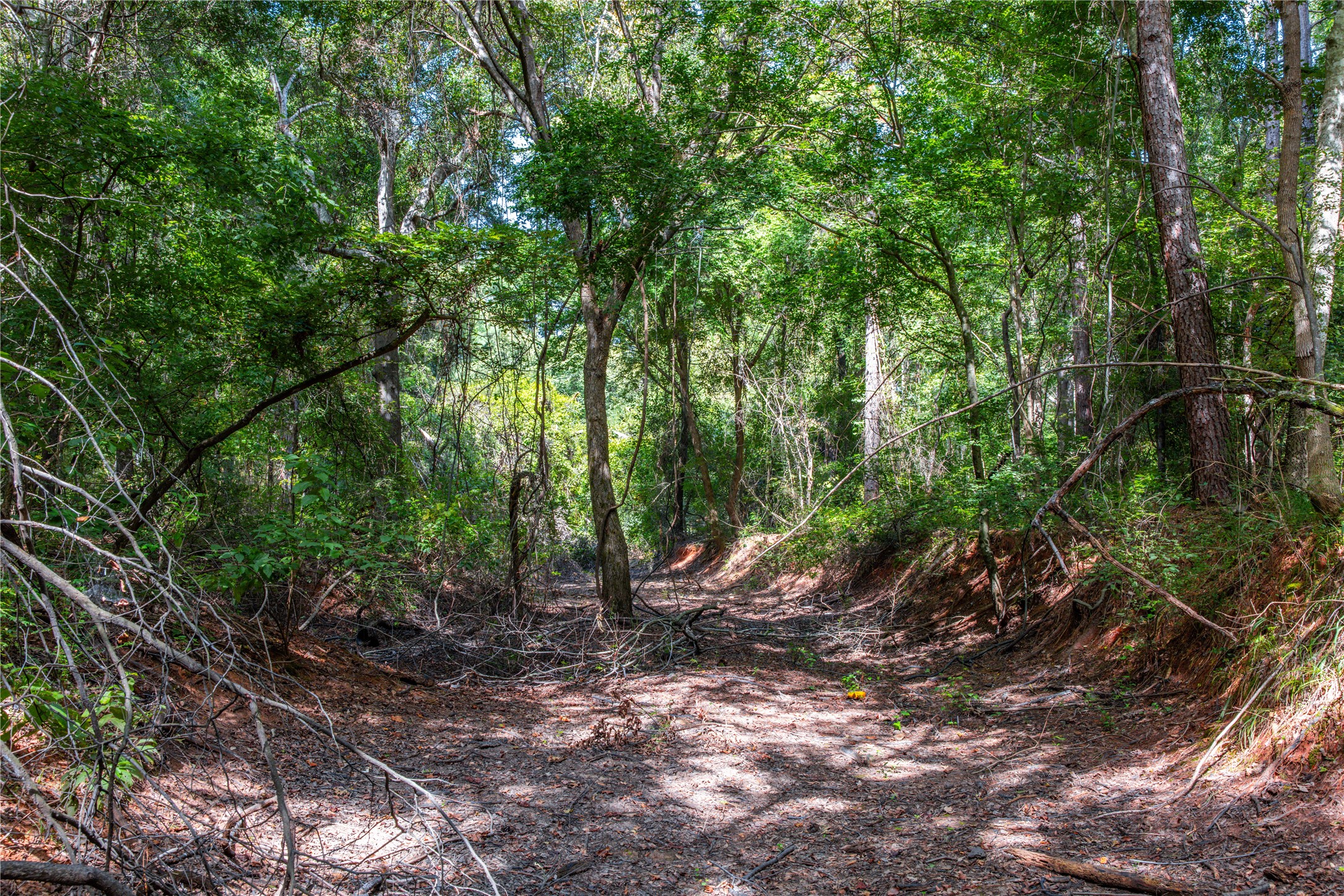 Tract 10 County Road 4222 Frankston TX 75763