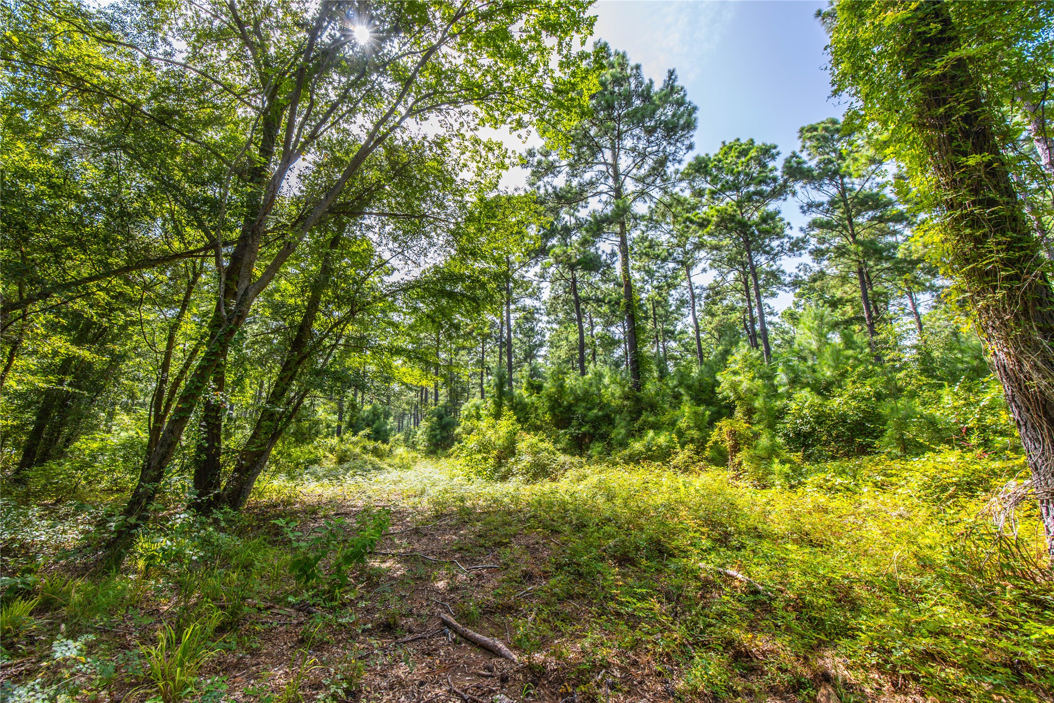 Tract 10 County Road 4222 Frankston TX 75763