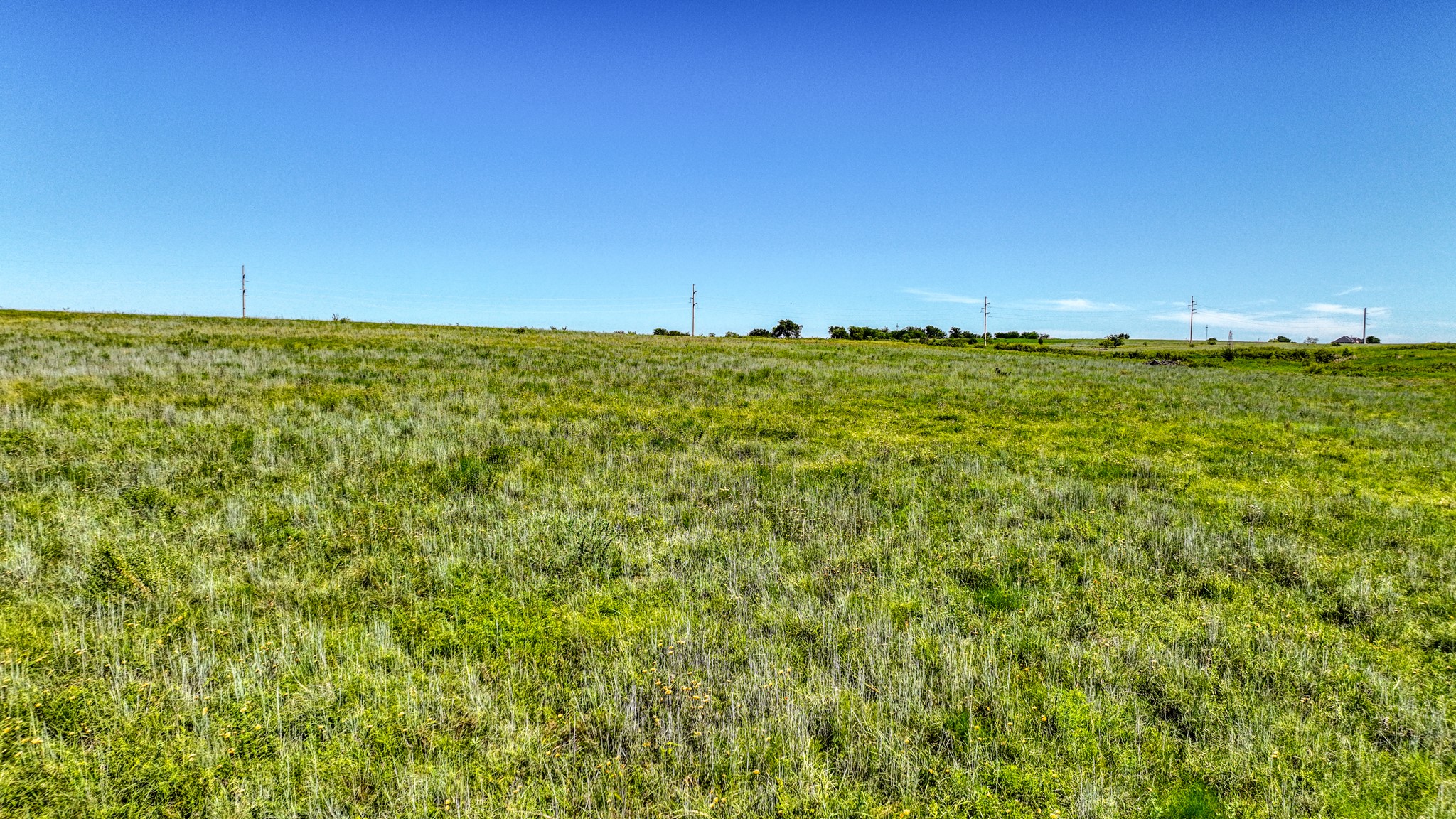 Tbd 124 County Road 1232 Godley TX 76044