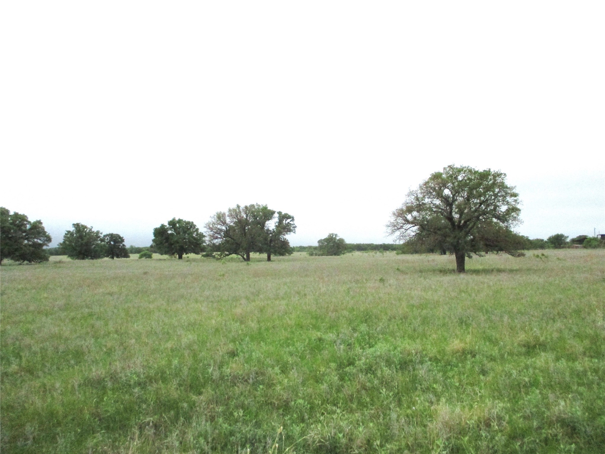 Jacksboro TX 76458