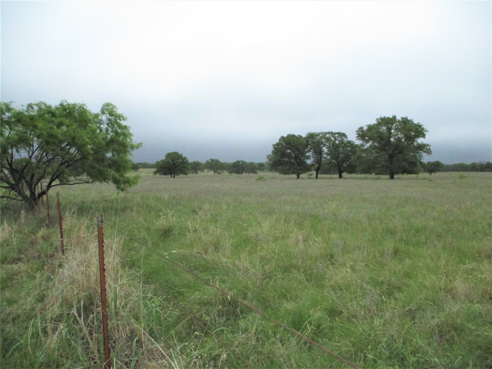 Jacksboro TX 76458