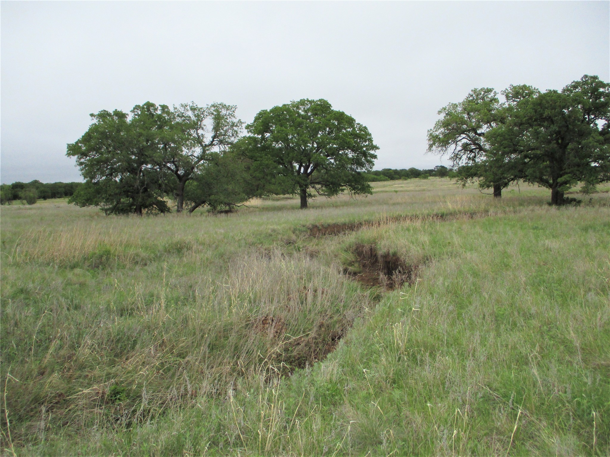 Jacksboro TX 76458
