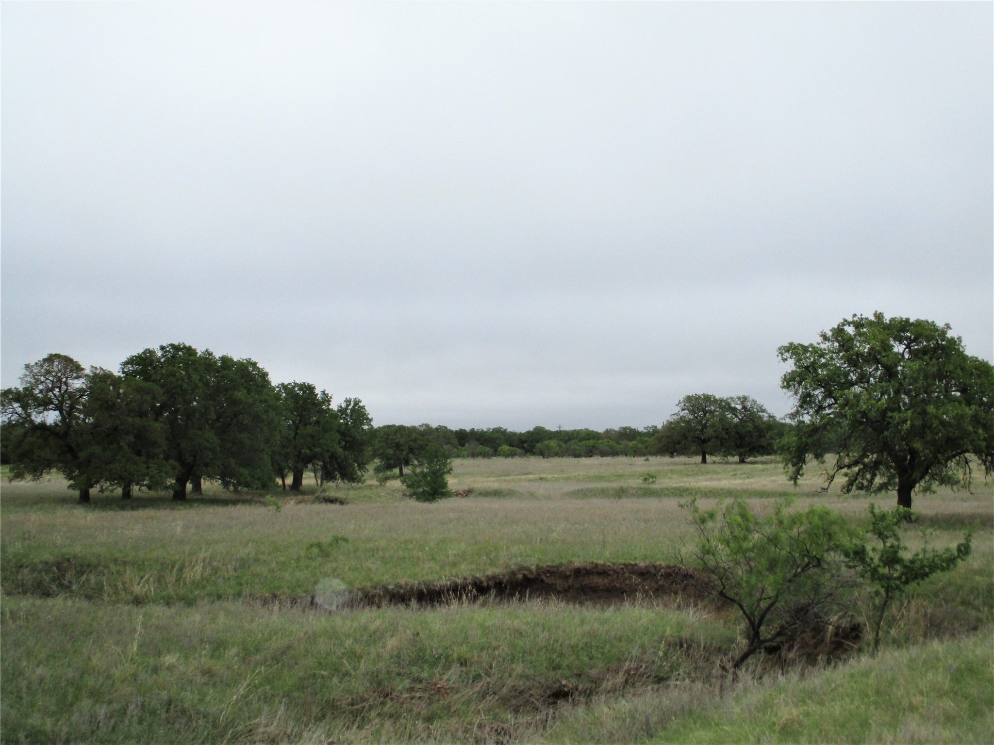 Jacksboro TX 76458