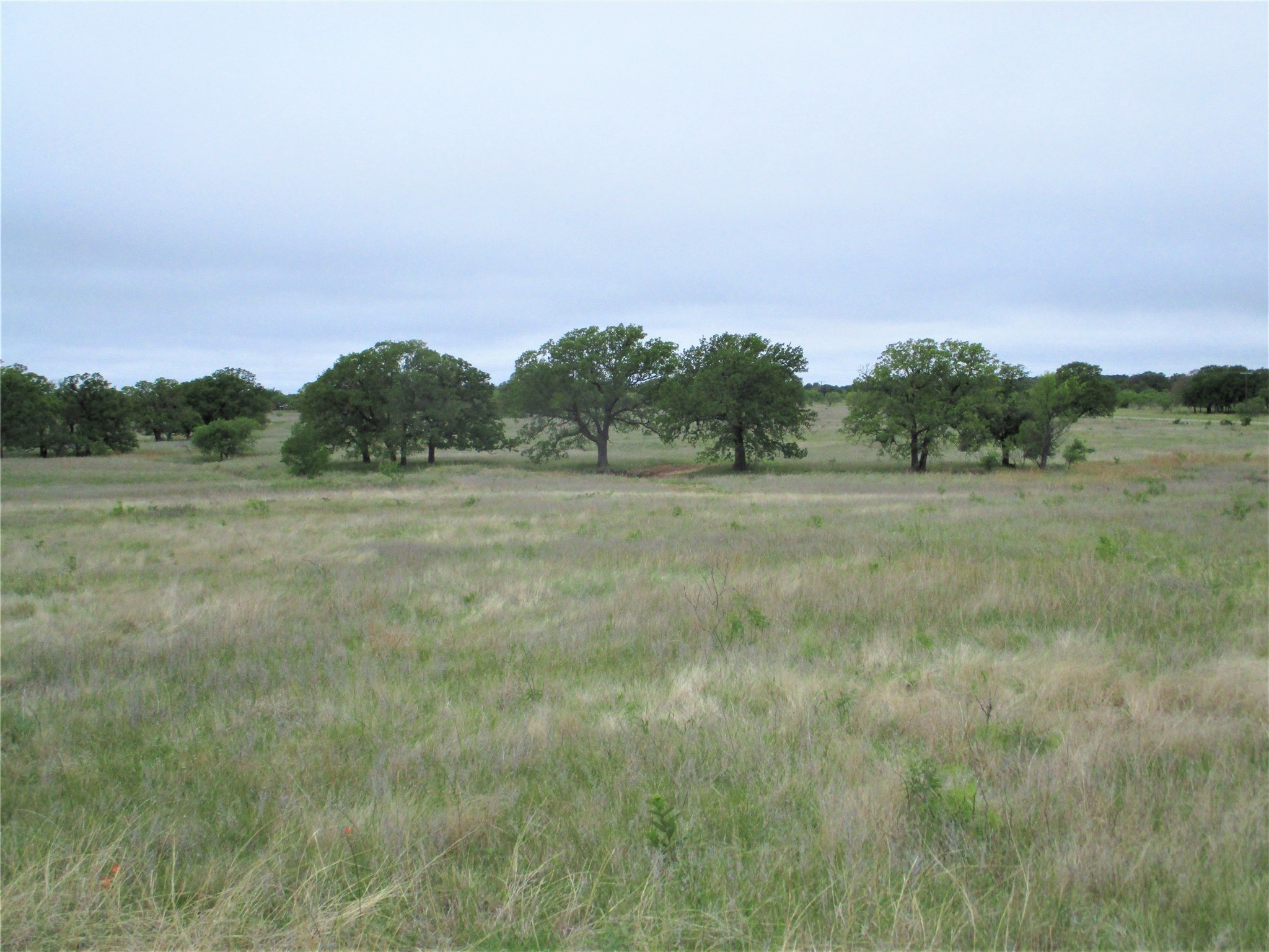 Jacksboro TX 76458