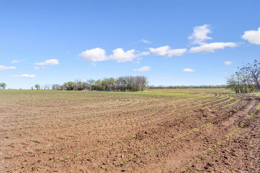 Tbd Hcr 2302 S Abbott TX 76621