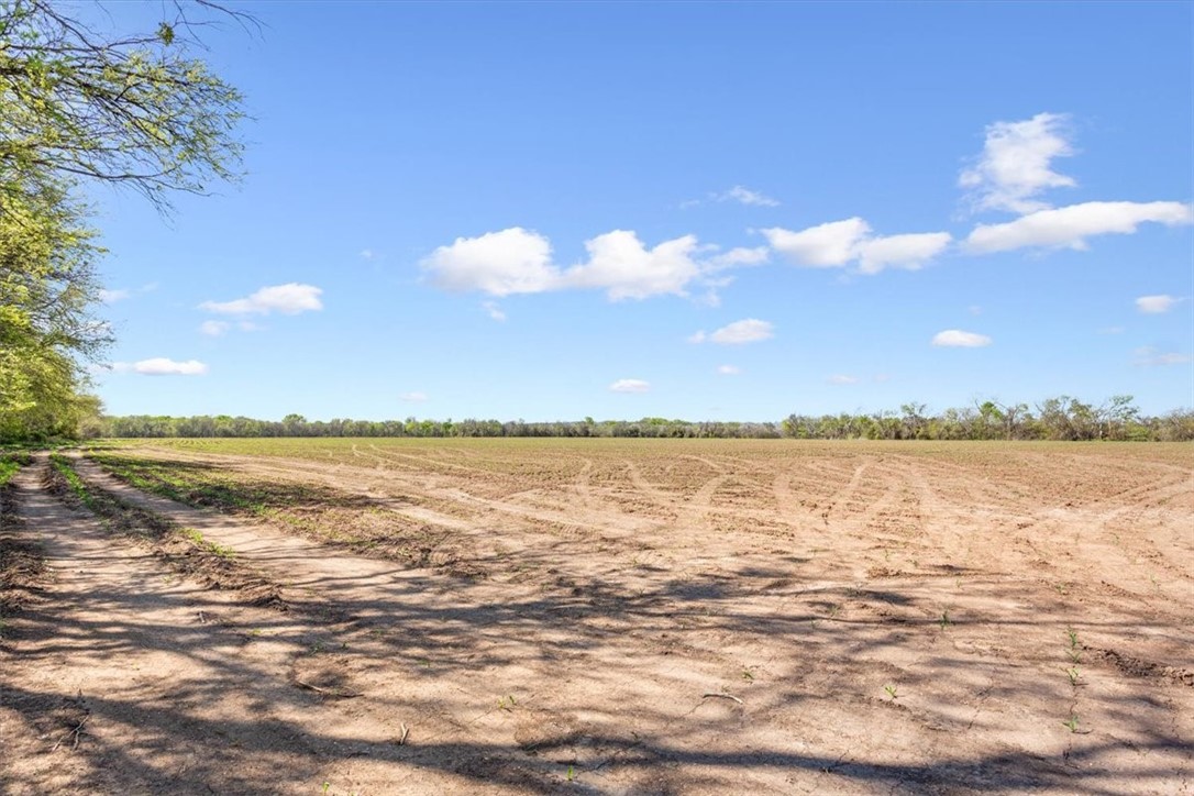 Tbd Hcr 2302 S Abbott TX 76621