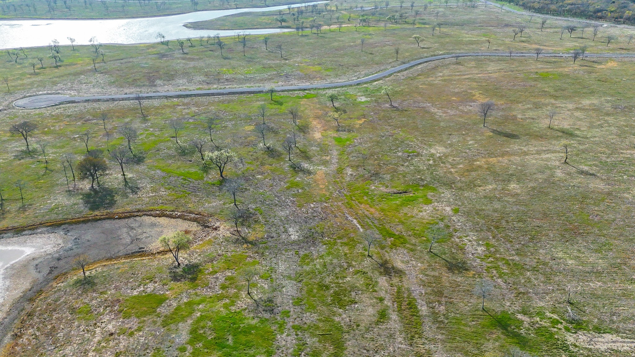 Lot 82 Bauer Boulevard Corsicana TX 75110