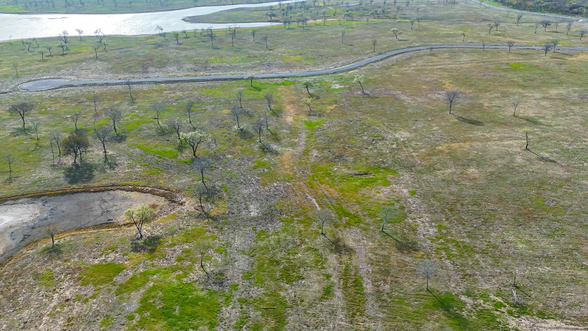 Lot 82 Bauer Boulevard Corsicana TX 75110