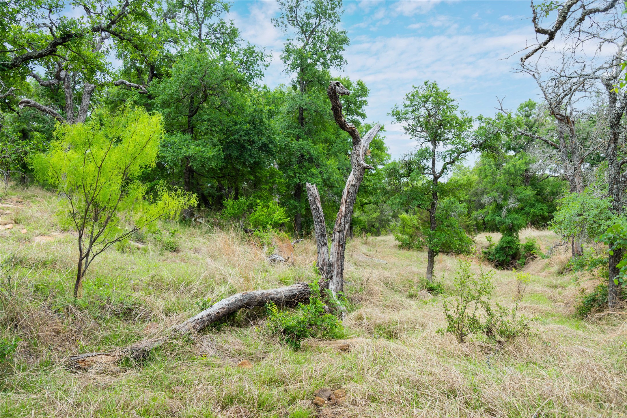 182 County Road 430 Mullin TX 76864