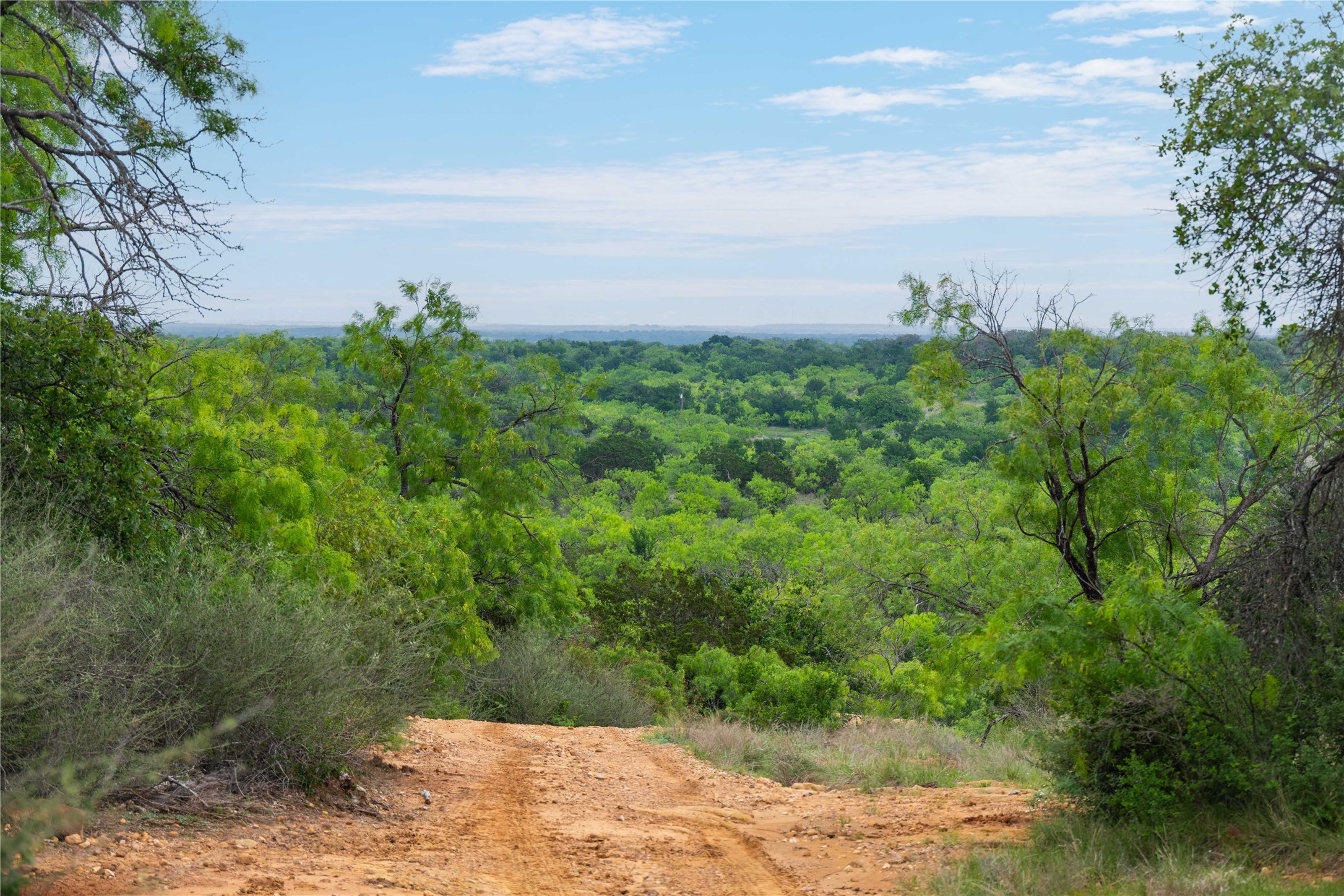182 County Road 430 Mullin TX 76864