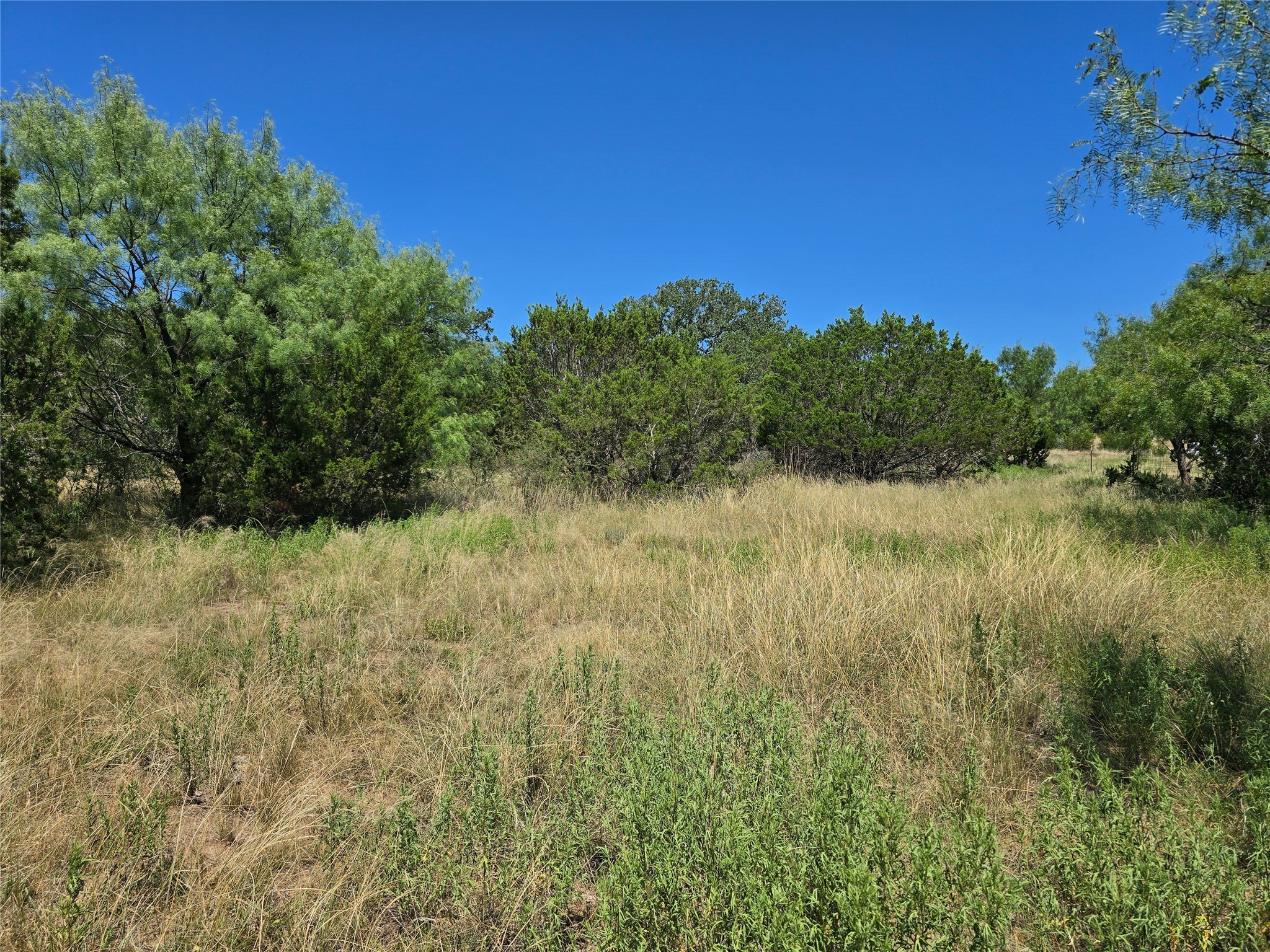 Tbd Cr 102 Santa Anna TX 76878