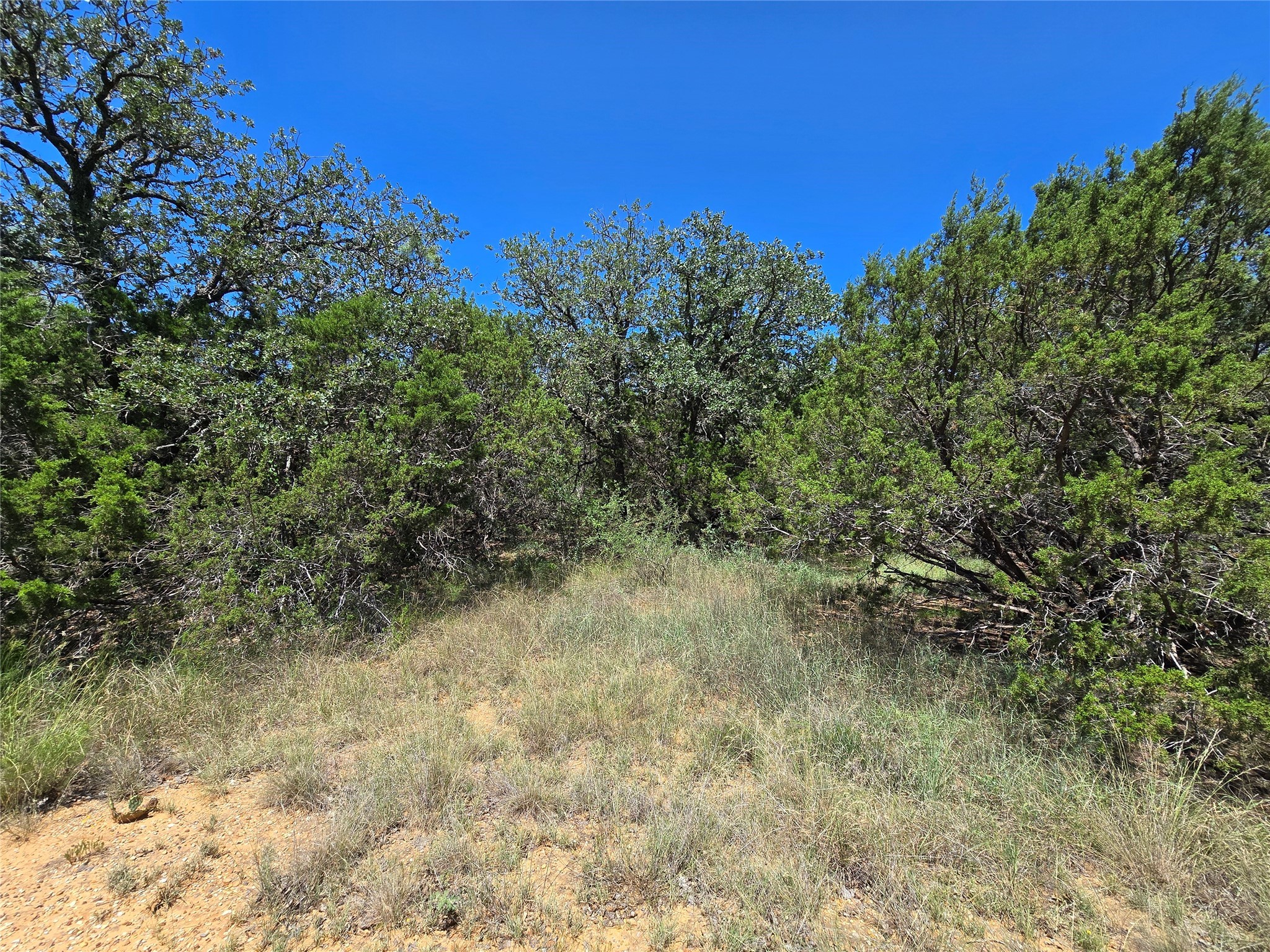 Tbd Cr 102 Santa Anna TX 76878