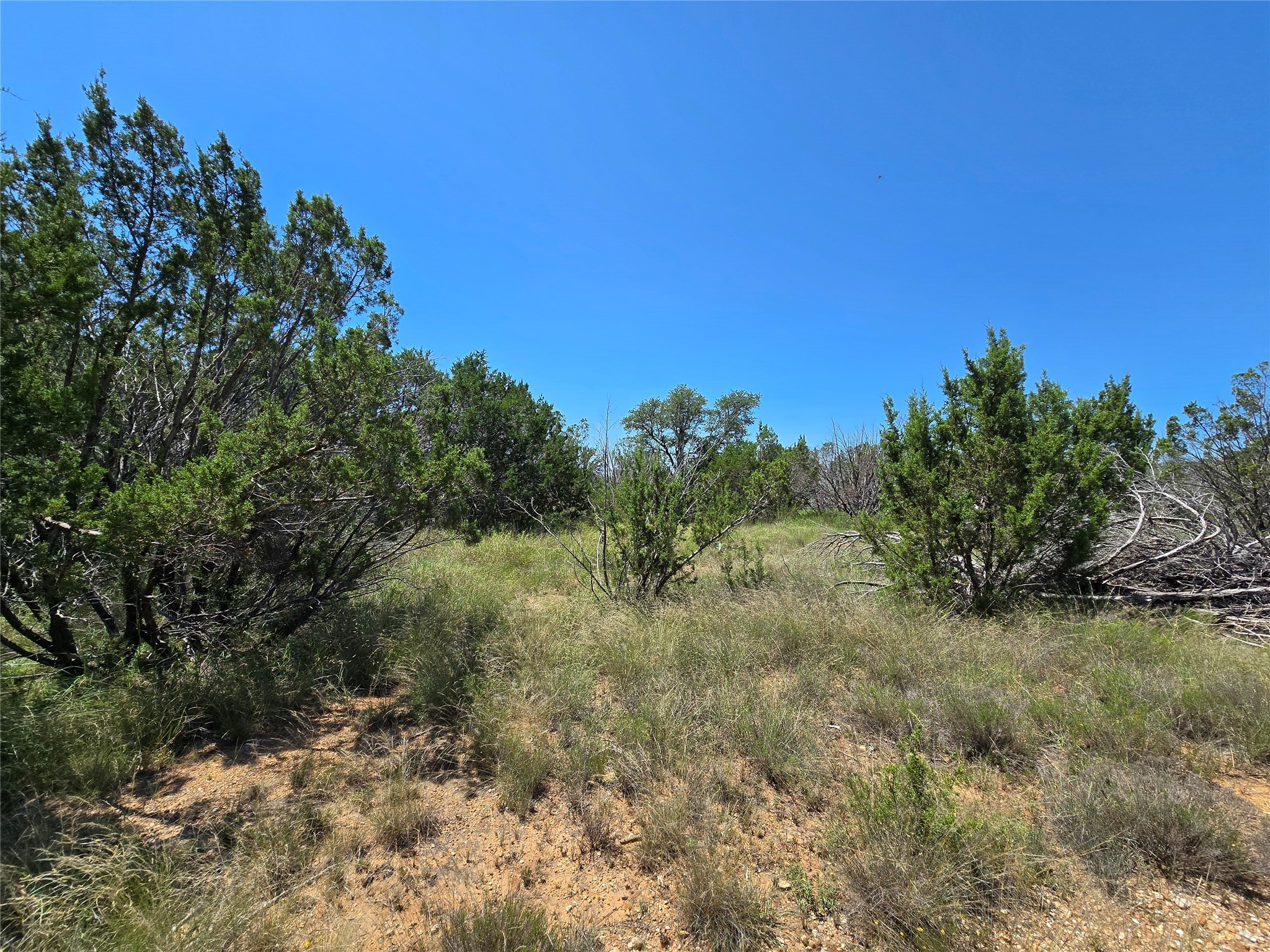 Tbd Cr 102 Santa Anna TX 76878