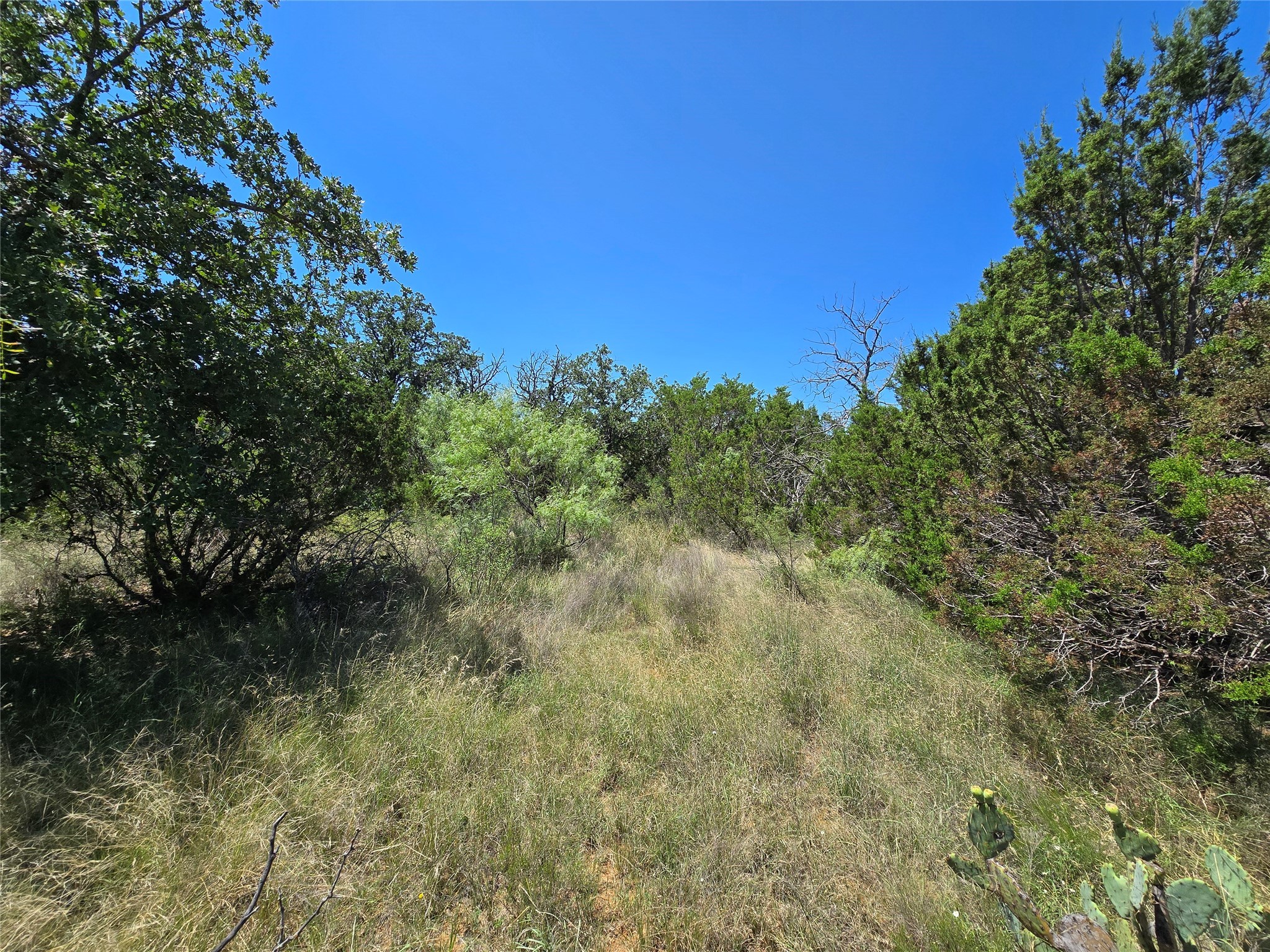 Tbd Cr 102 Santa Anna TX 76878