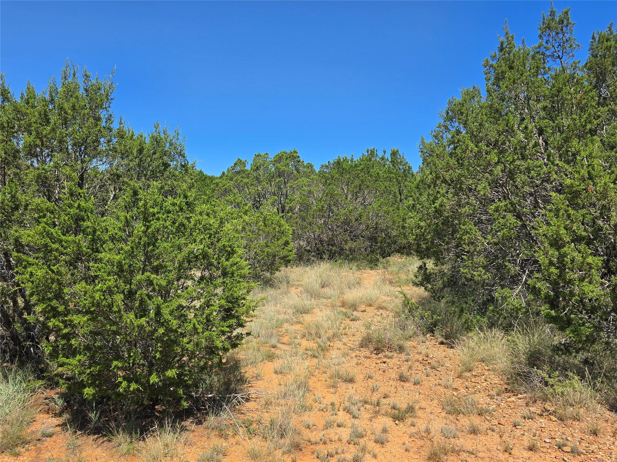 Tbd Cr 102 Santa Anna TX 76878