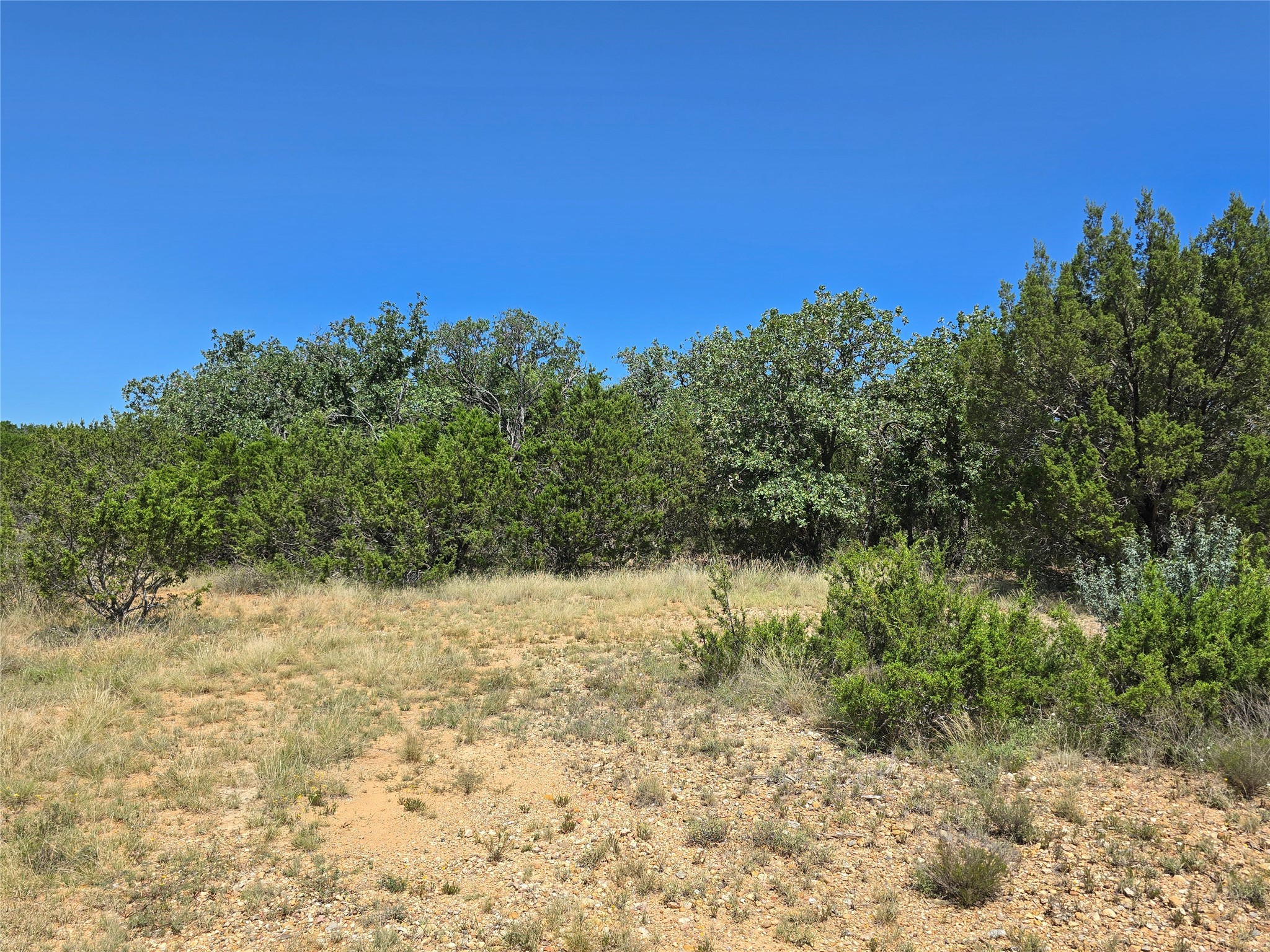 Tbd Cr 102 Santa Anna TX 76878