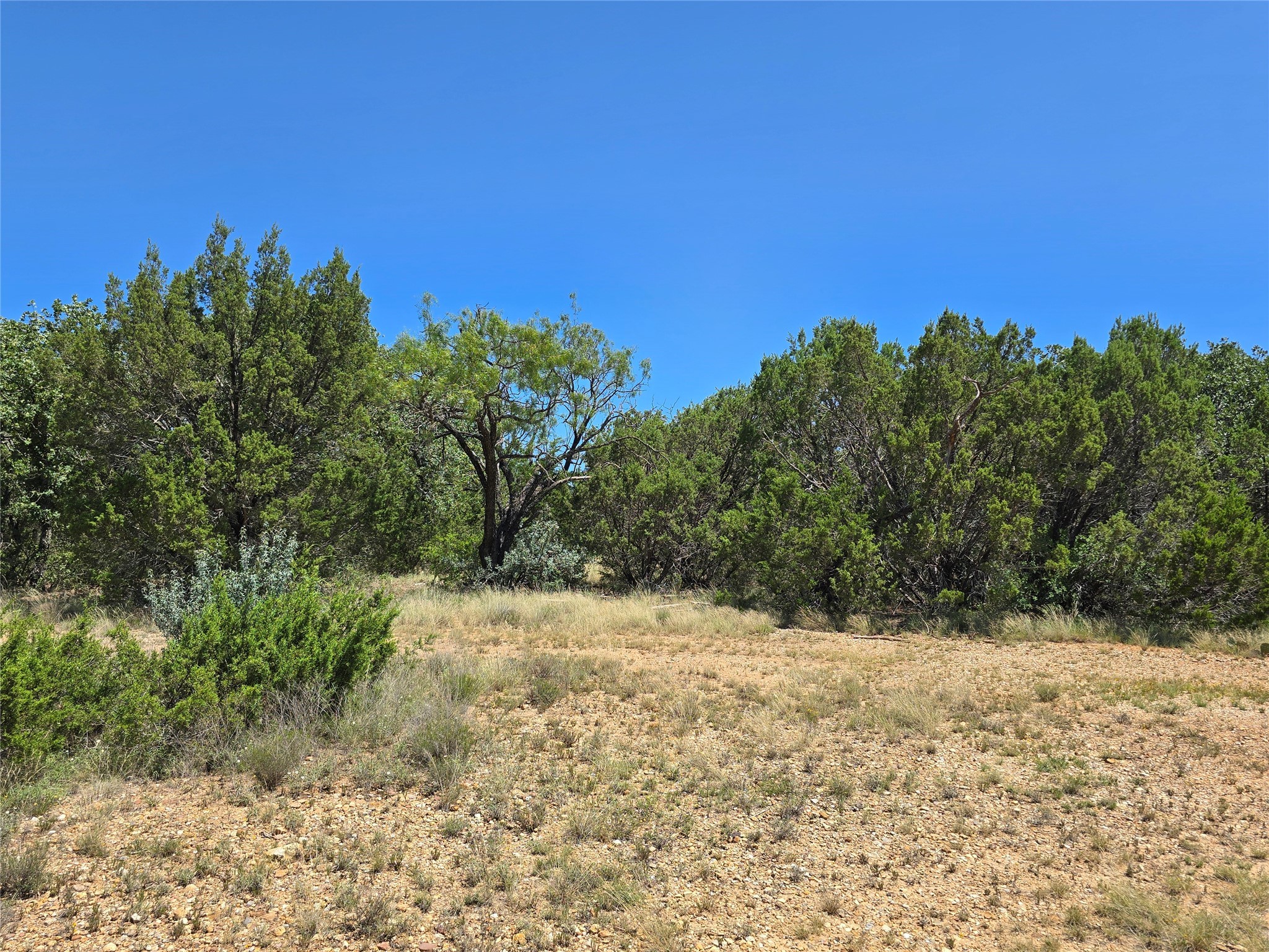 Tbd Cr 102 Santa Anna TX 76878