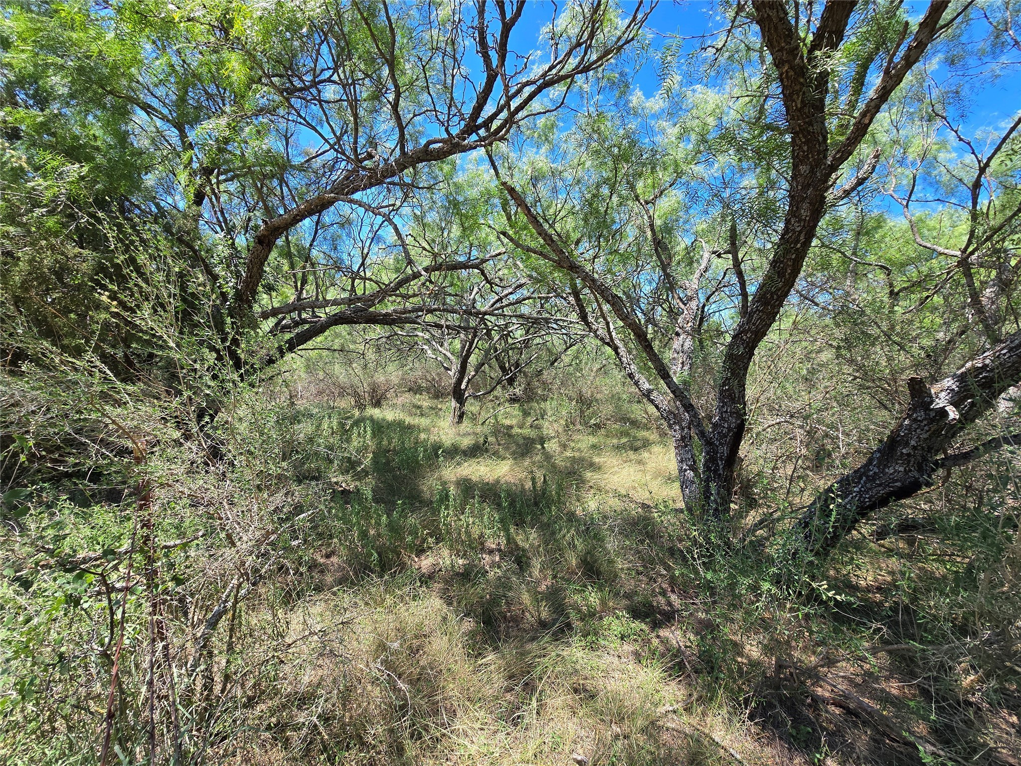 Tbd Cr 102 Santa Anna TX 76878