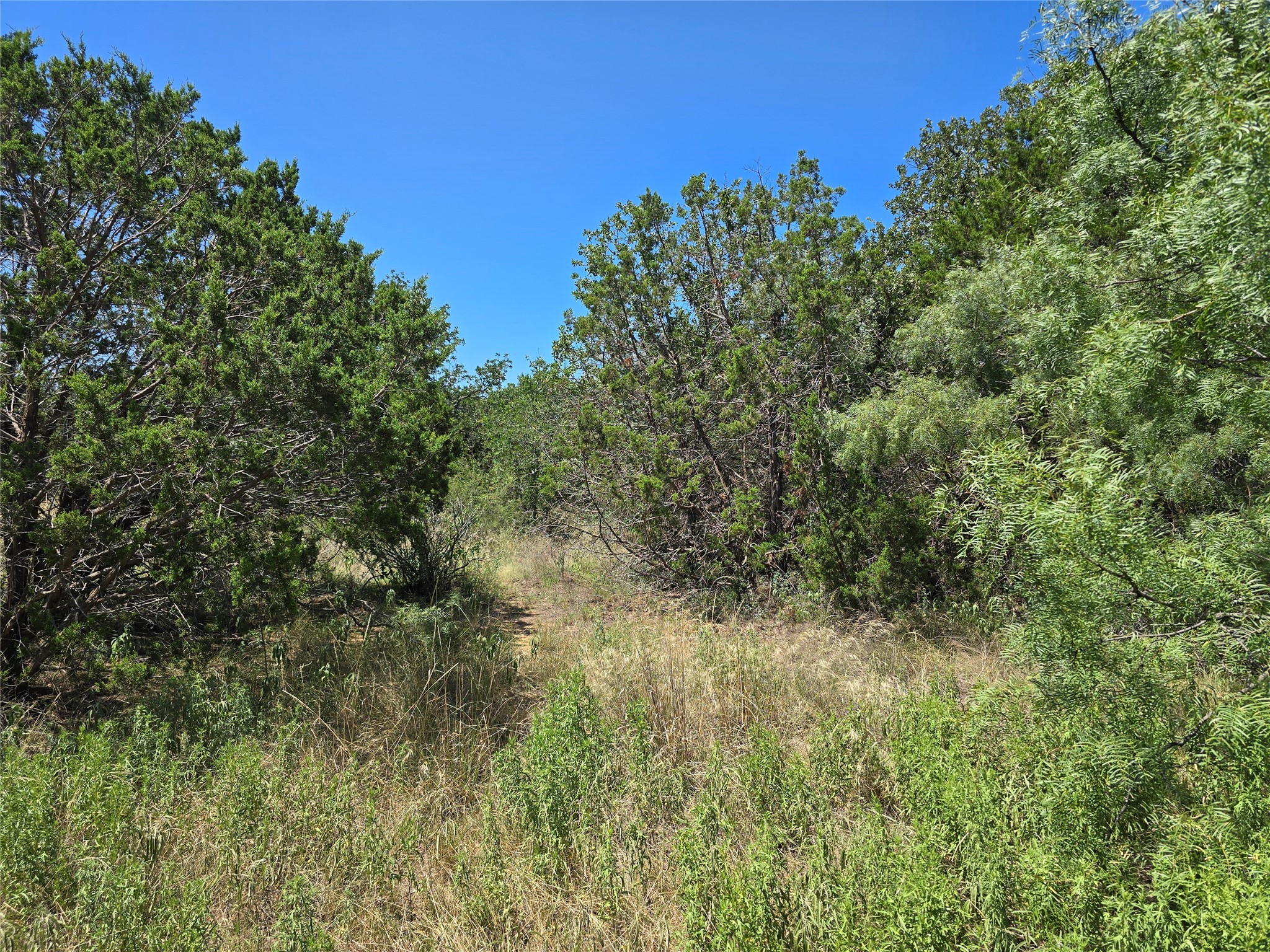 Tbd Cr 102 Santa Anna TX 76878