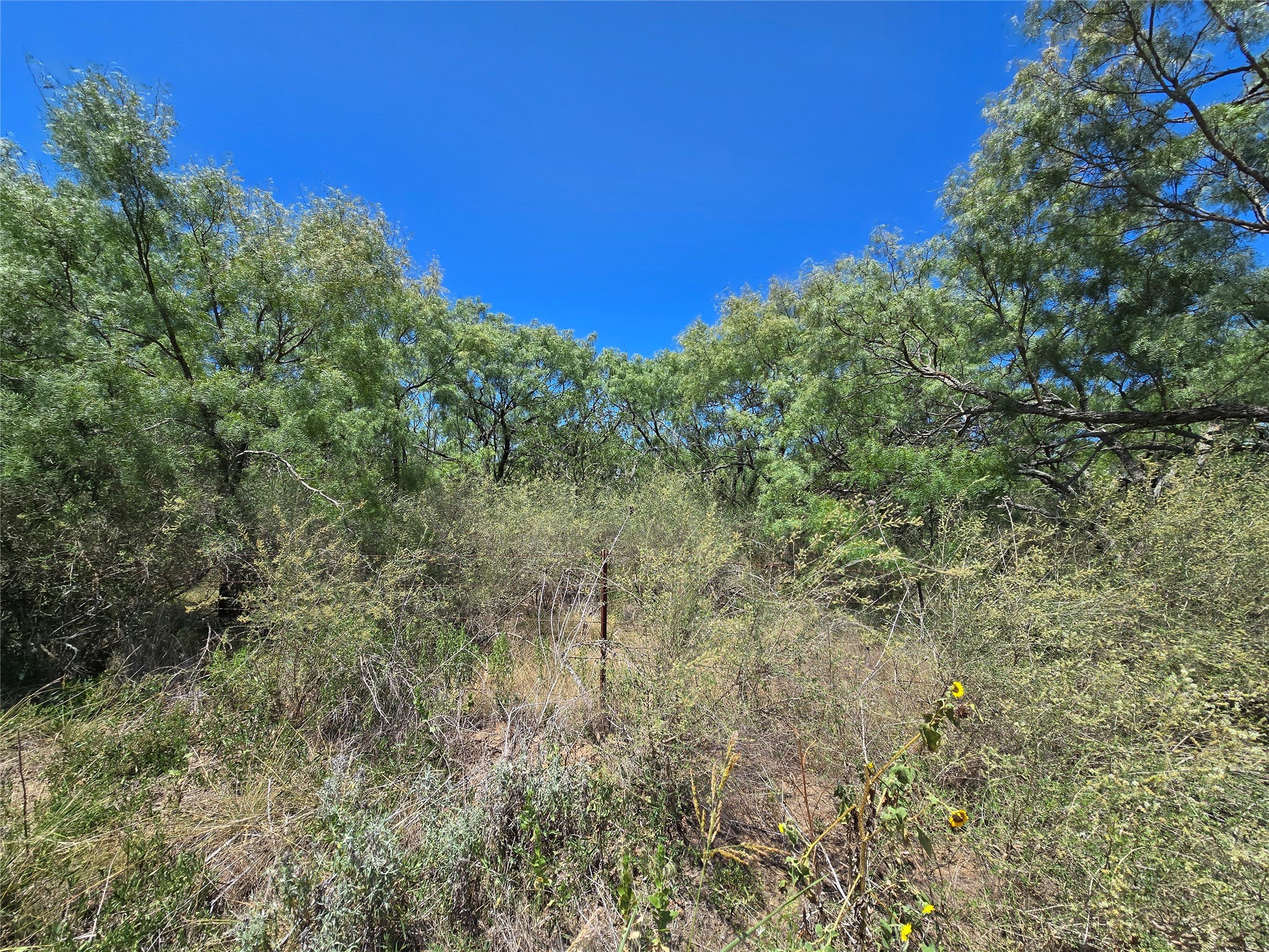 Tbd Cr 102 Santa Anna TX 76878