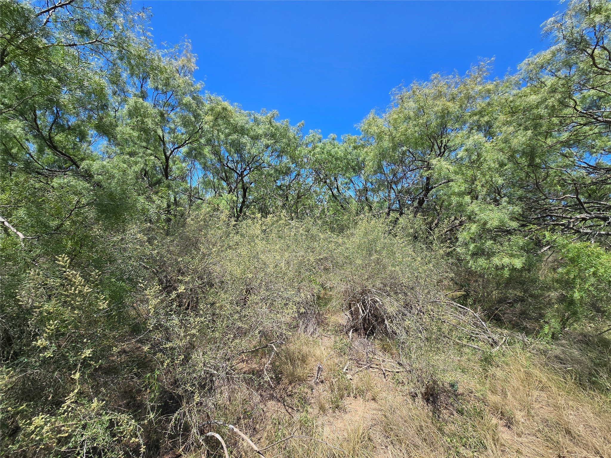 Tbd Cr 102 Santa Anna TX 76878