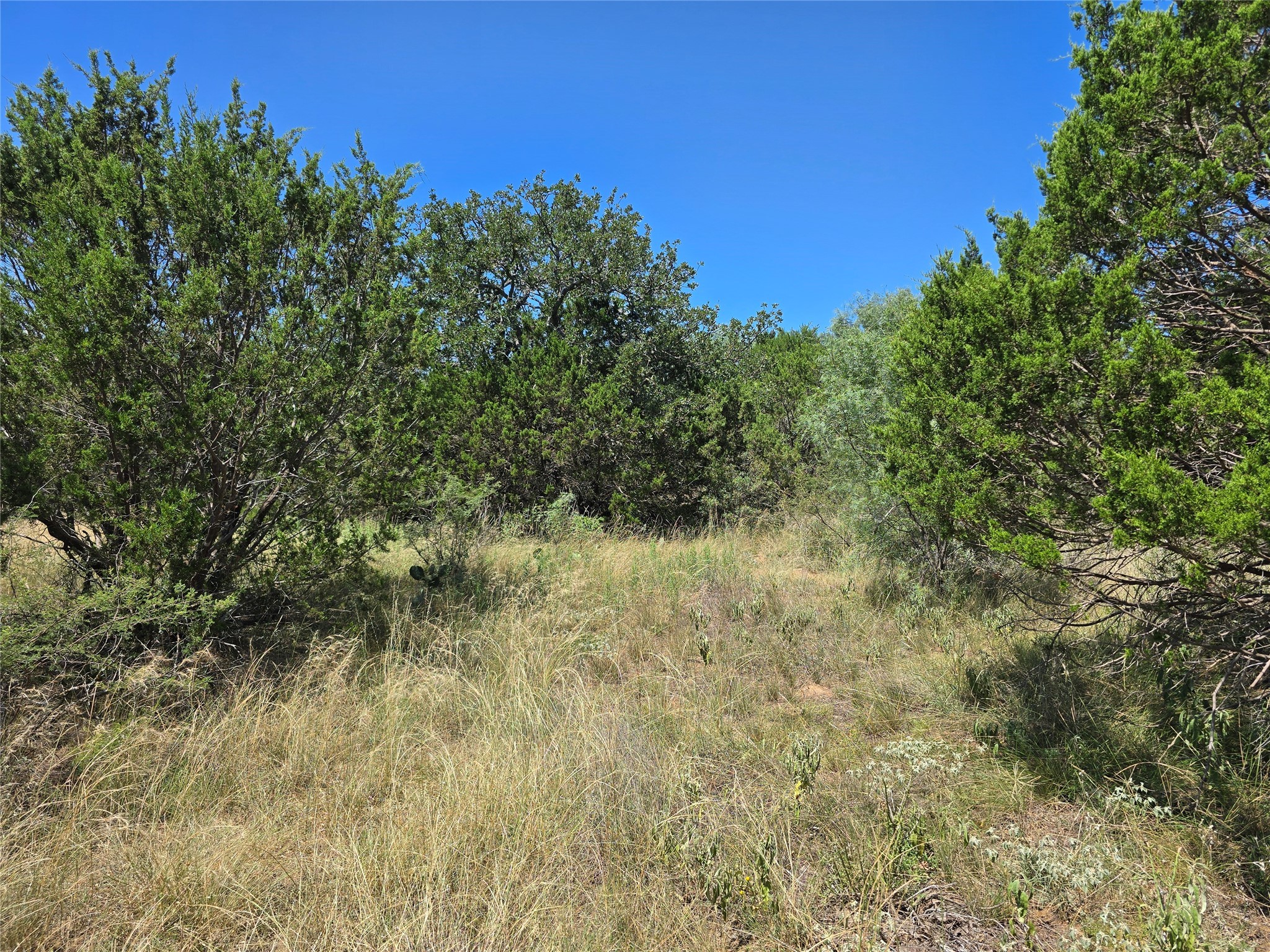 Tbd Cr 102 Santa Anna TX 76878