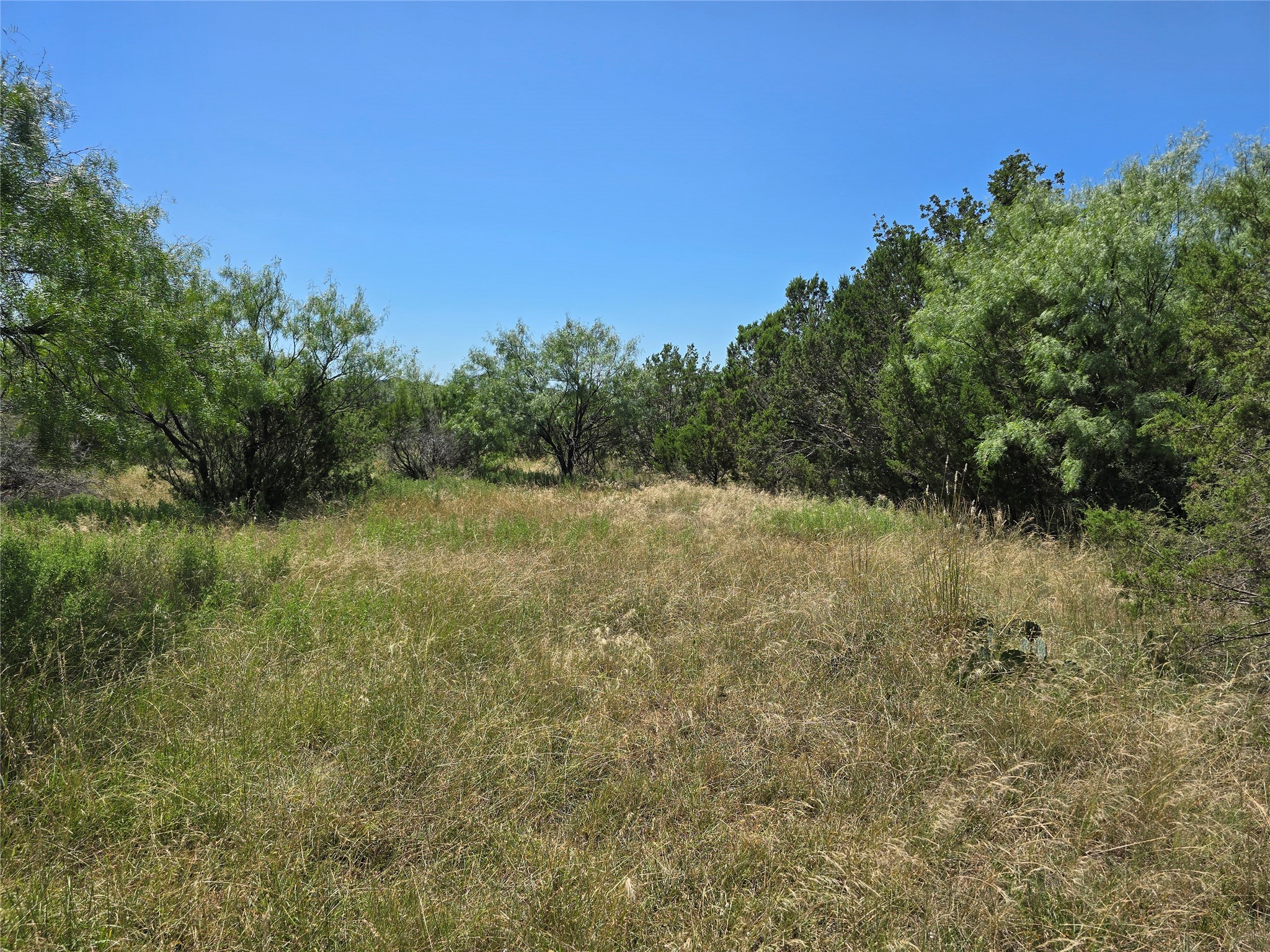 Tbd Cr 102 Santa Anna TX 76878