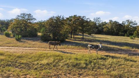 11051 Brock Highway Lipan TX 76462