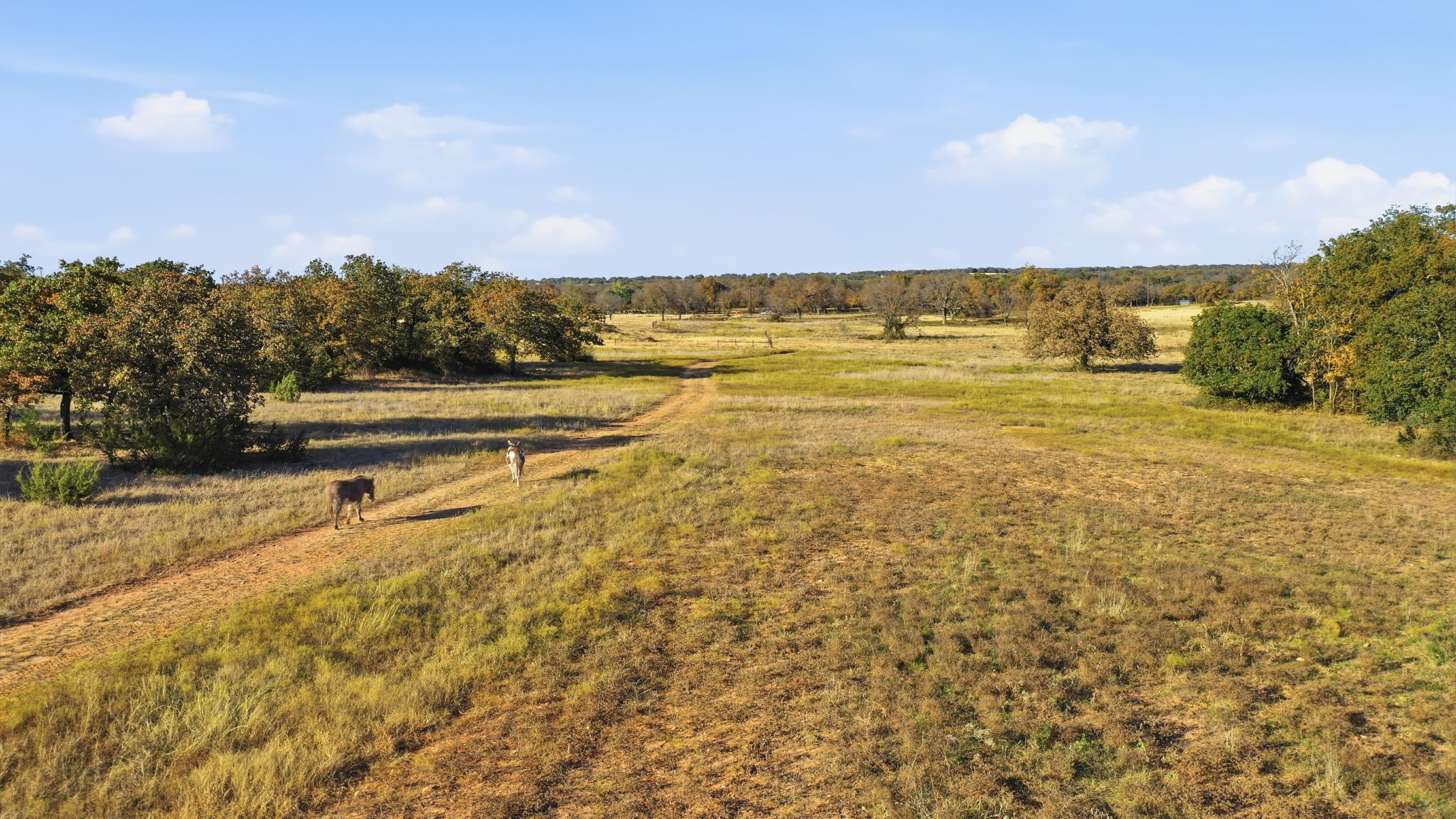 11051 Brock Highway Lipan TX 76462