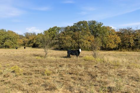 11051 Brock Highway Lipan TX 76462