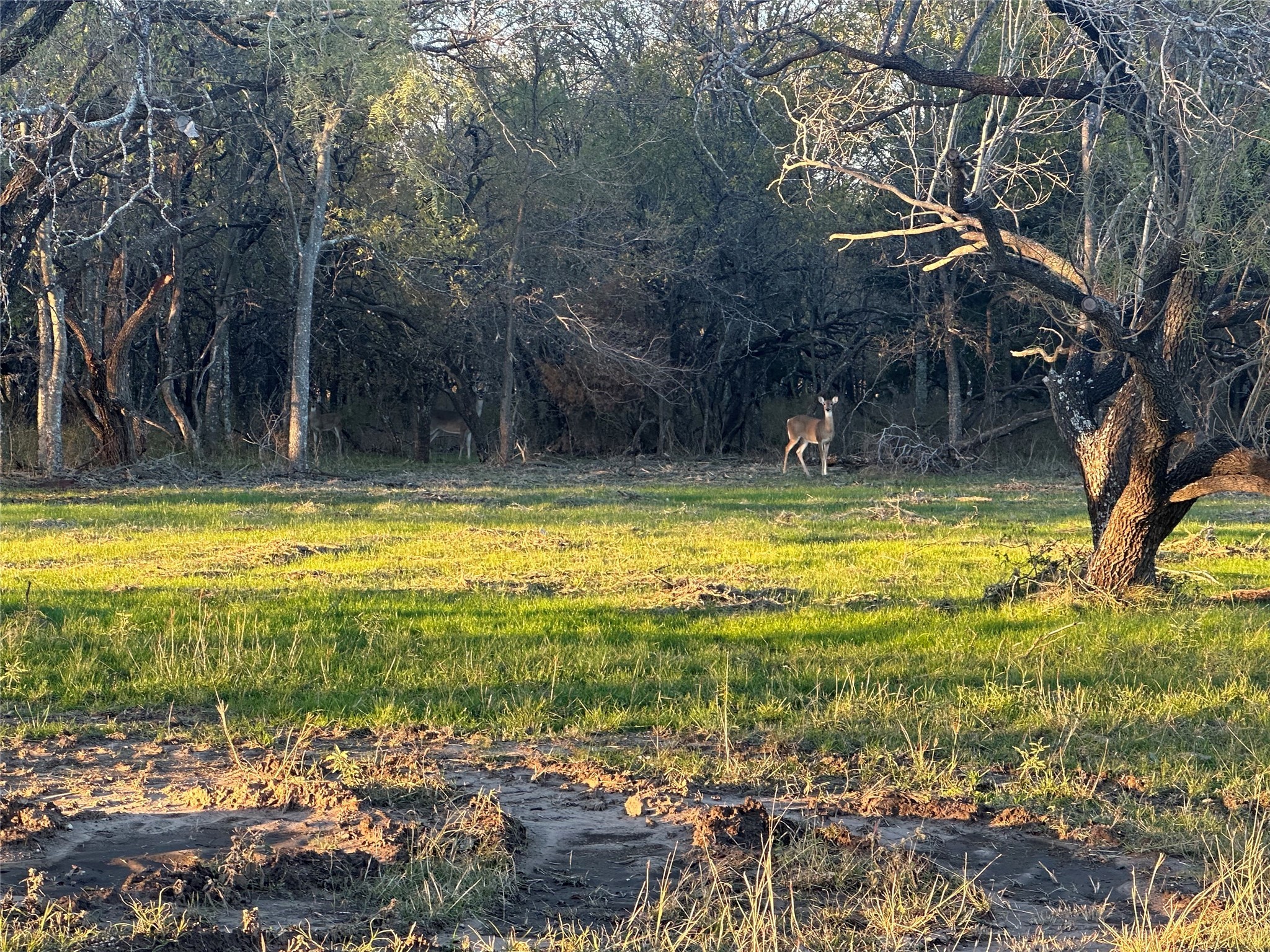 Lot 9 Grison Circle Corsicana TX 75109