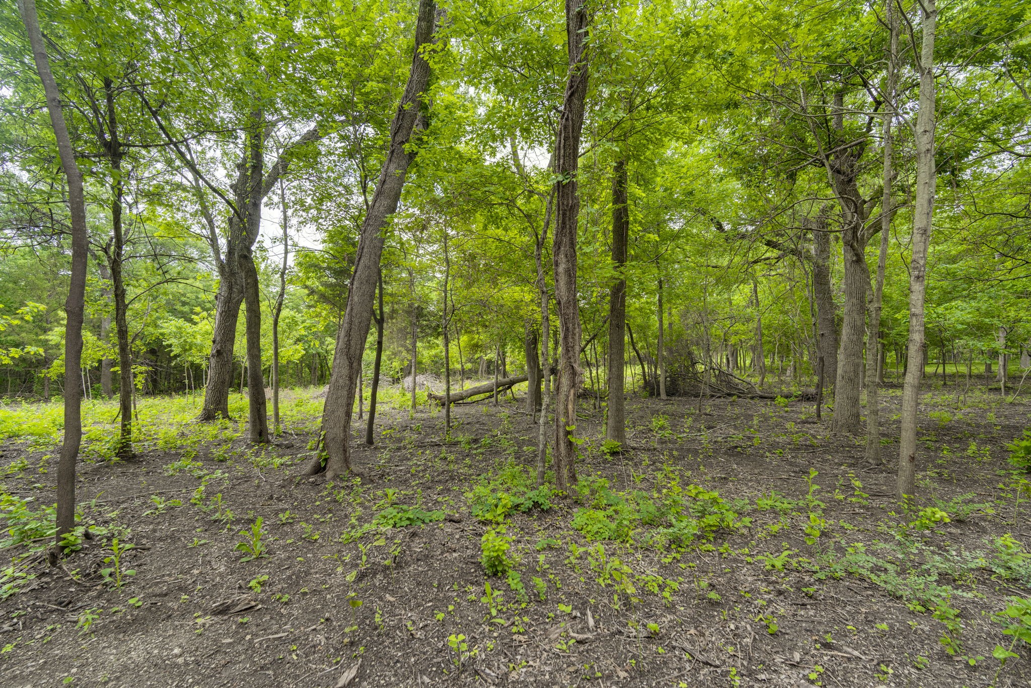 000 Becky Lane Waxahachie TX 75165