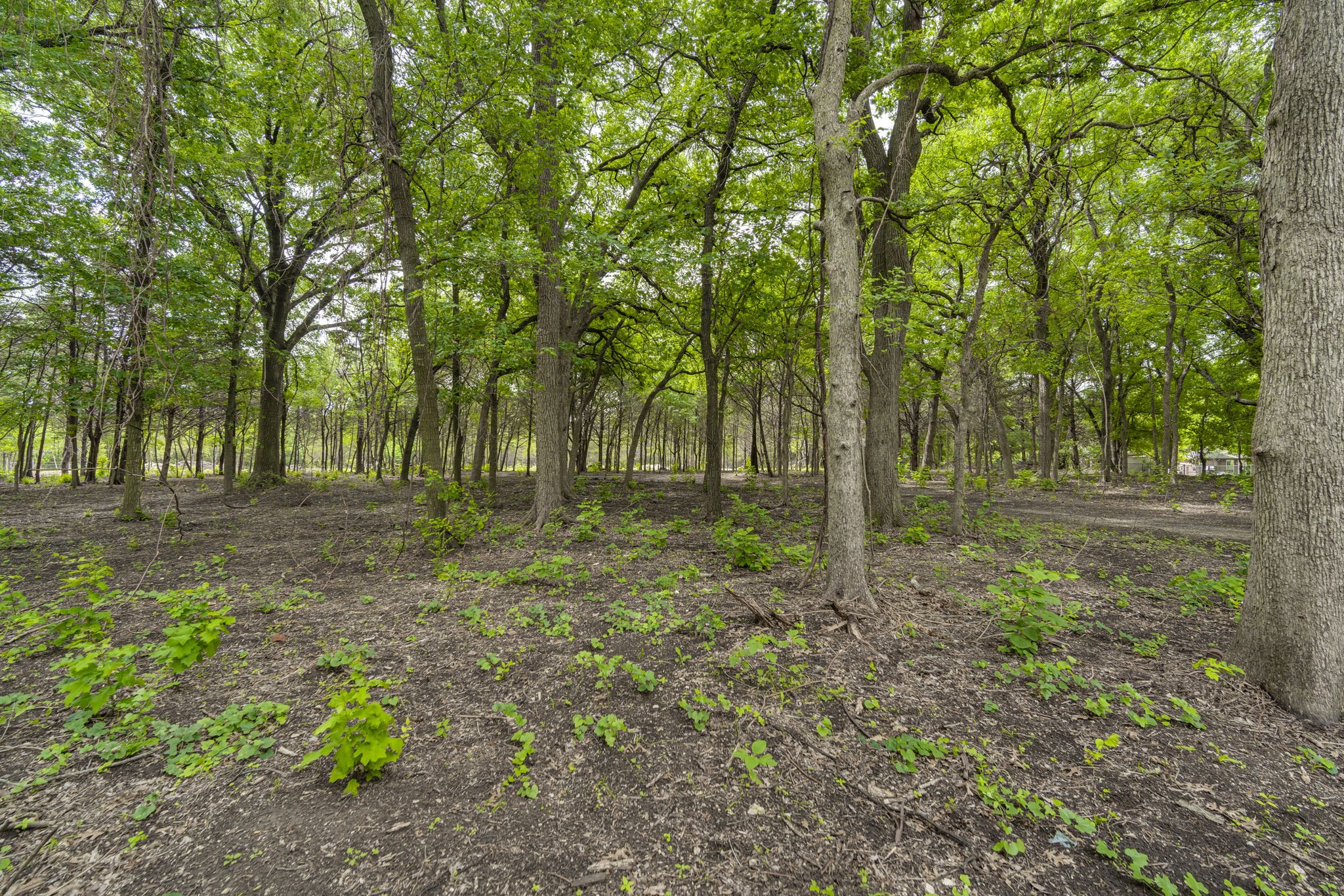 000 Becky Lane Waxahachie TX 75165