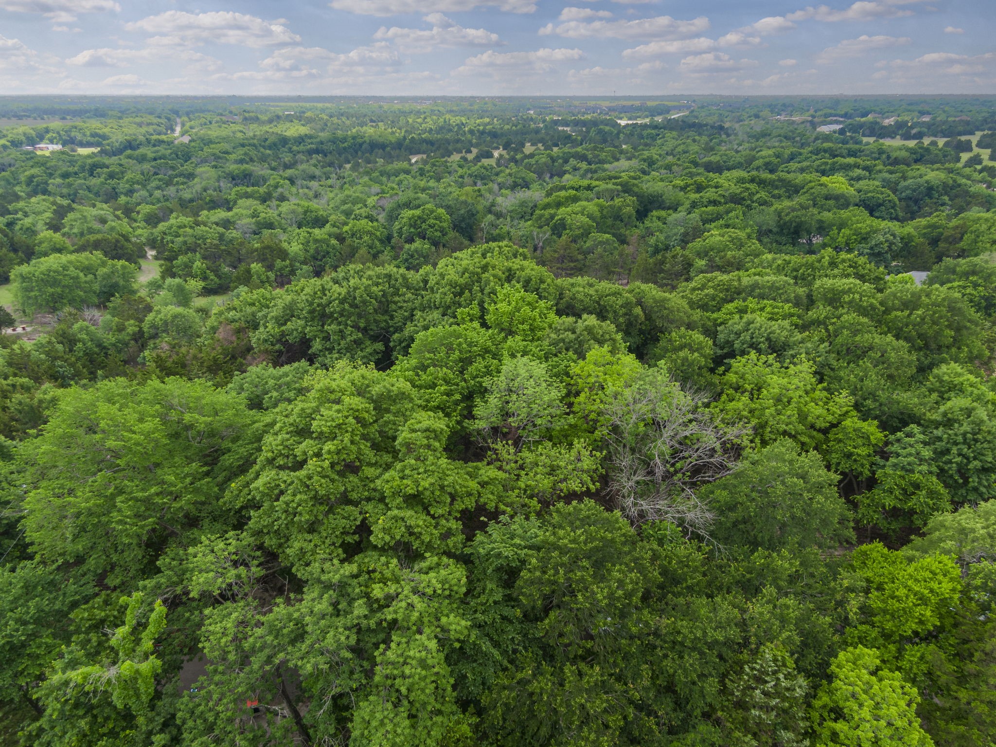 000 Becky Lane Waxahachie TX 75165