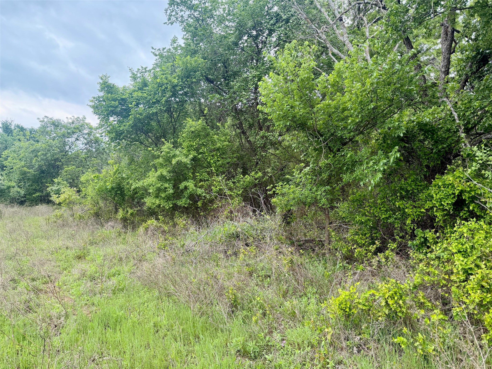 101 Campbell Lane Springtown TX 76082