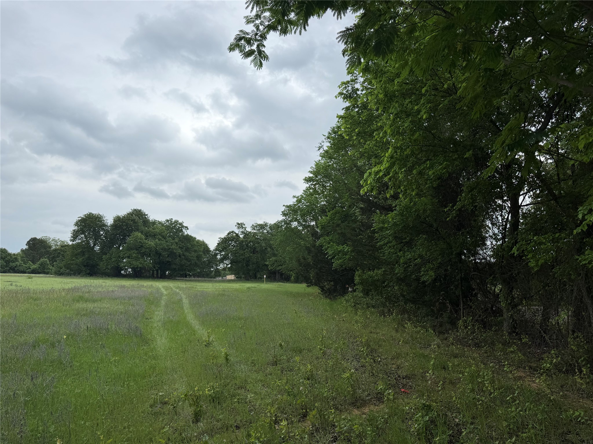 101 Campbell Lane Springtown TX 76082