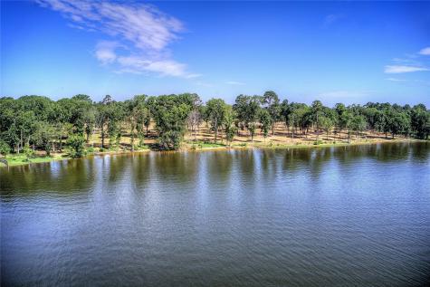 20569 Wyndham Chandler TX 75758