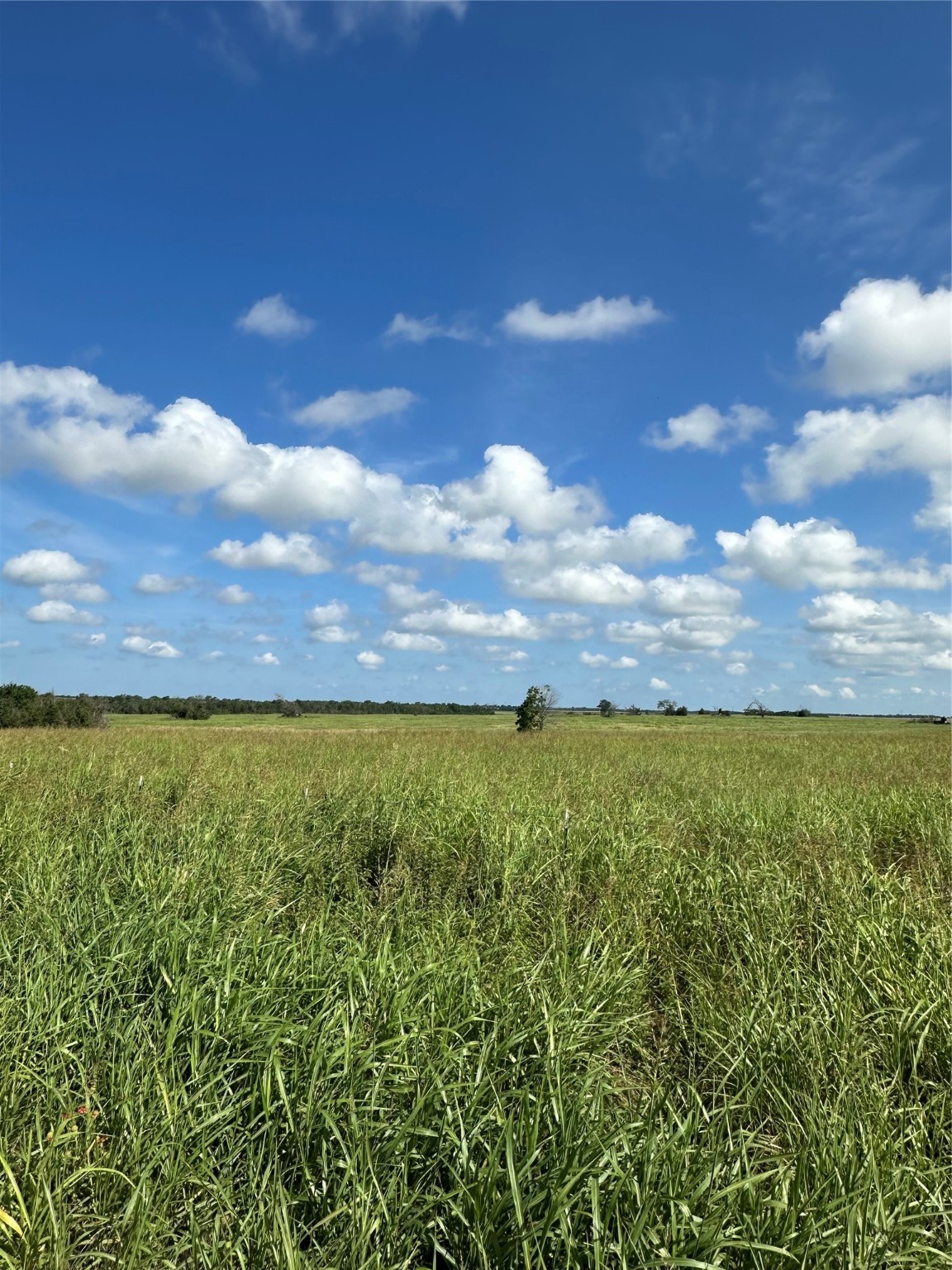 1490 County Road 3430 Honey Grove TX 75446