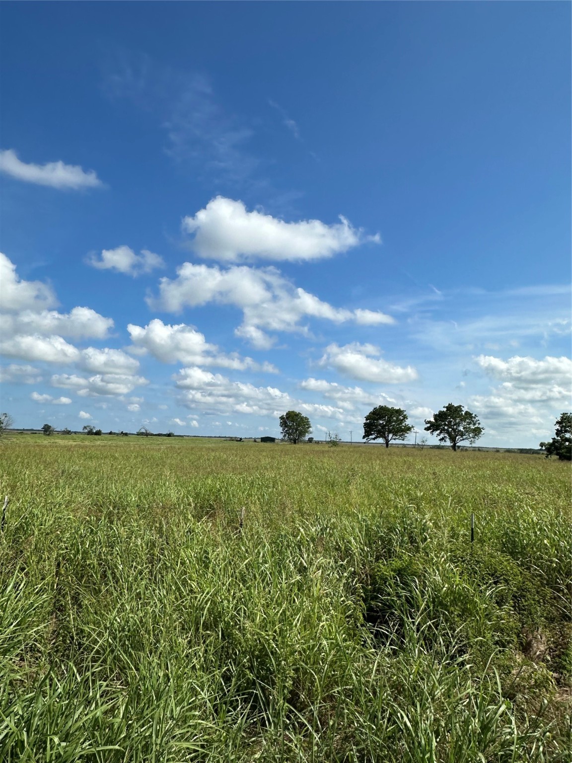 1490 County Road 3430 Honey Grove TX 75446